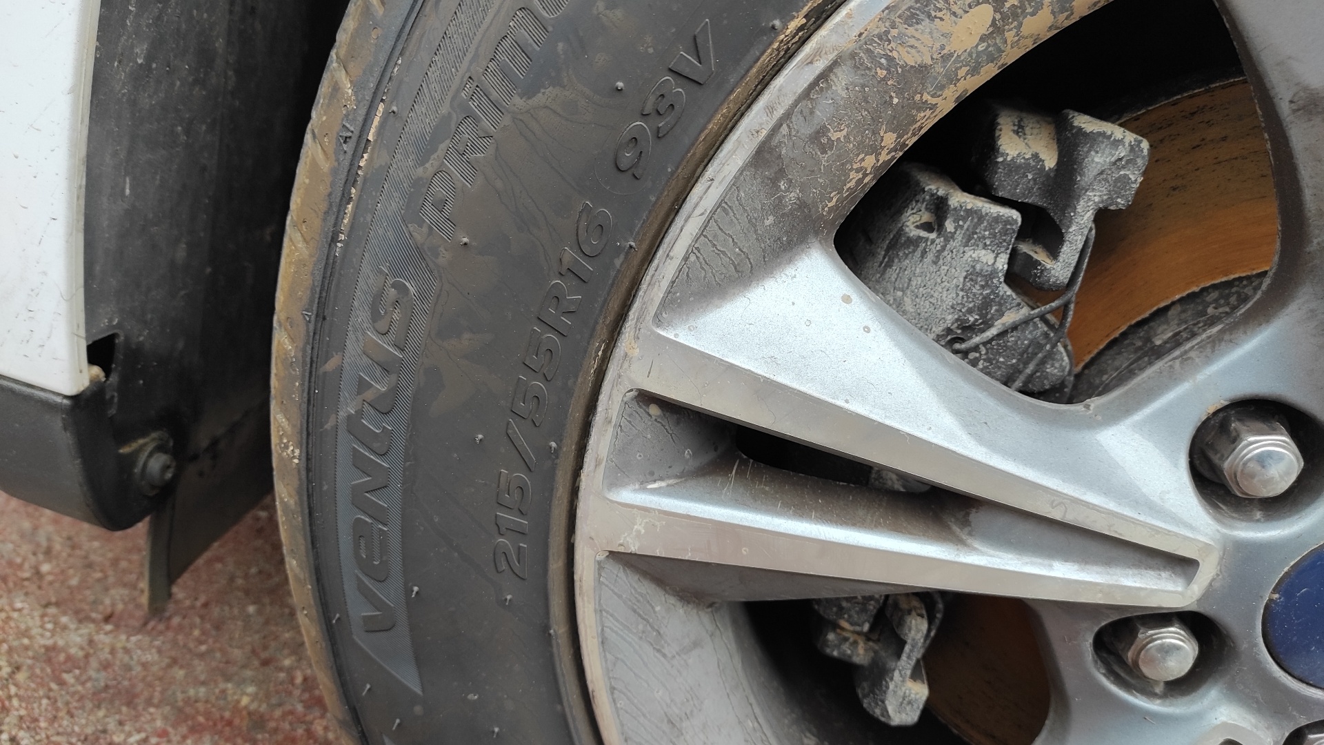 NEUMATICO REPUESTO FORD C-MAX (CB3) - vista 2