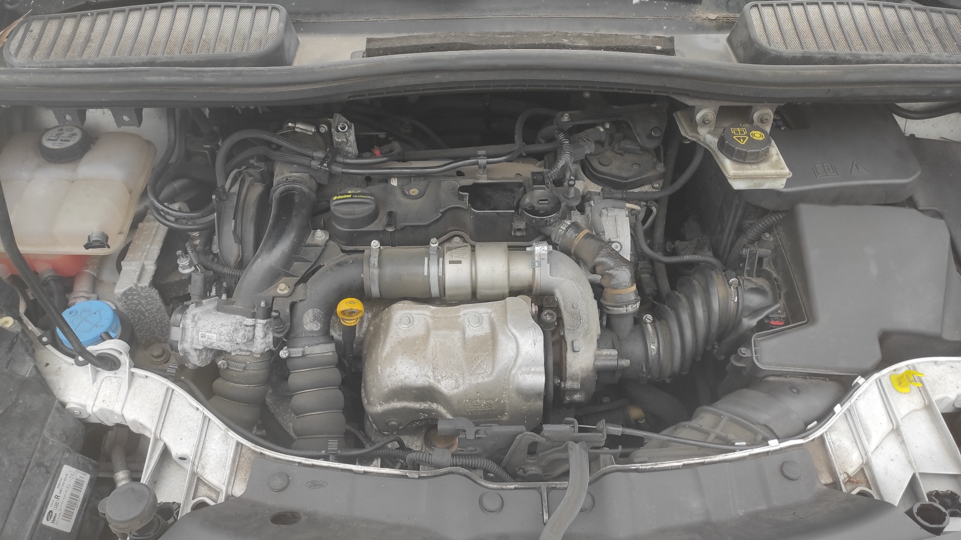 NEUMATICO REPUESTO FORD C-MAX (CB3) - vista 10