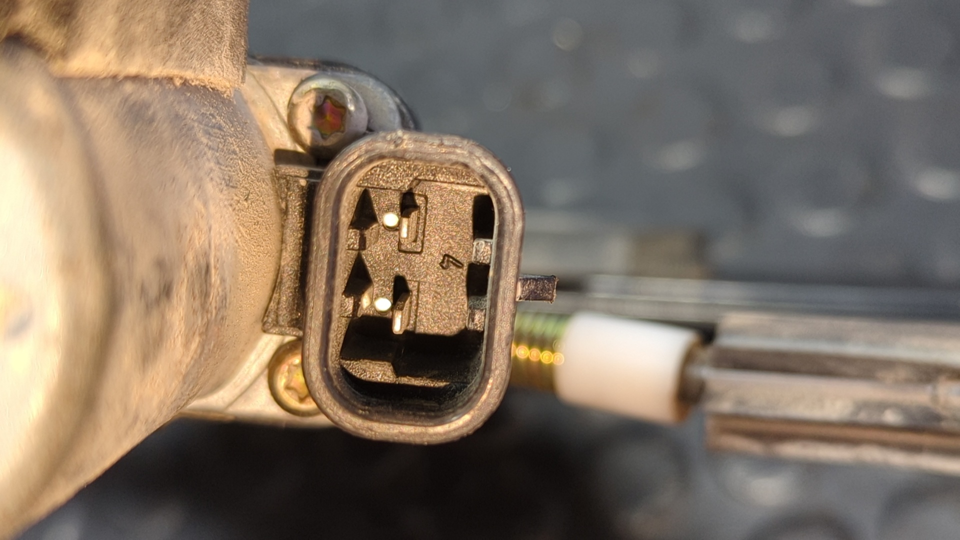 ELEVALUNAS DELANTERO DERECHO FIAT DOBLO (119) - vista 3