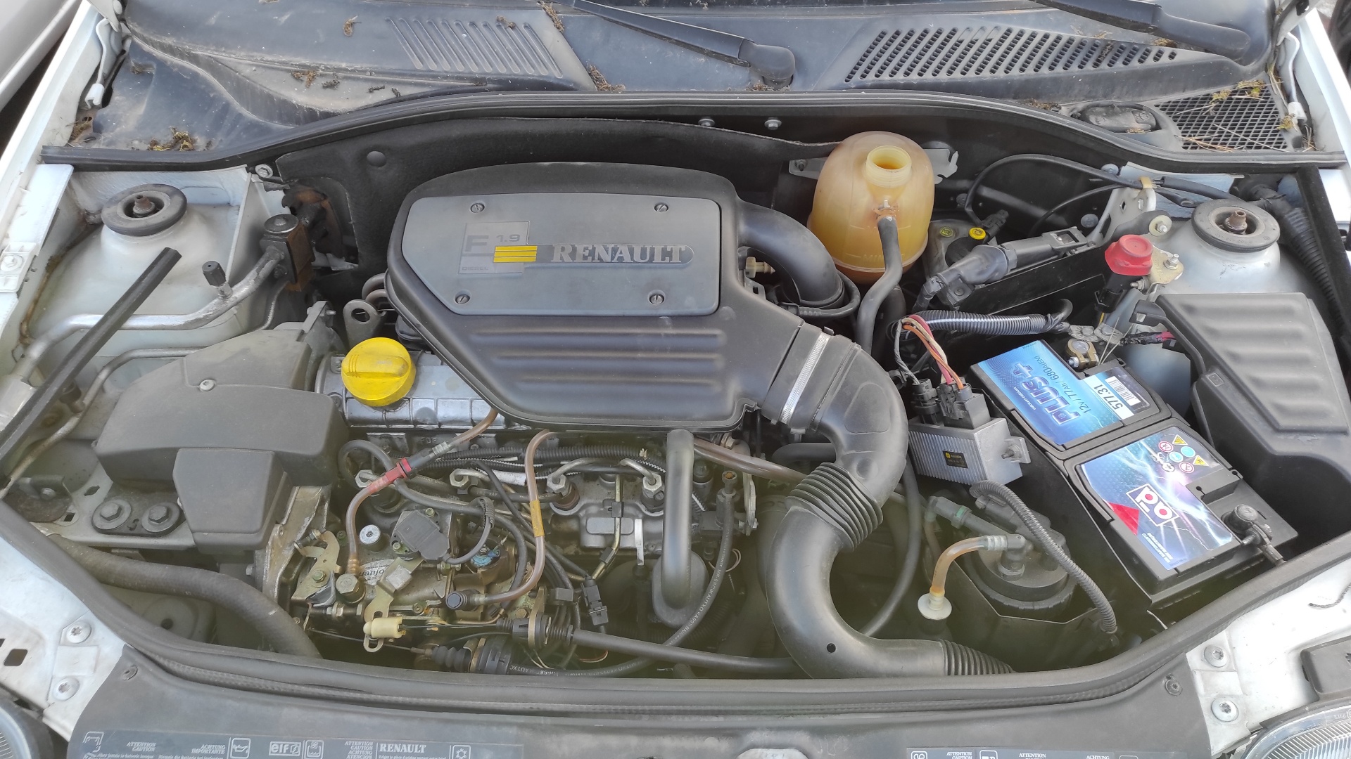 Vista 5