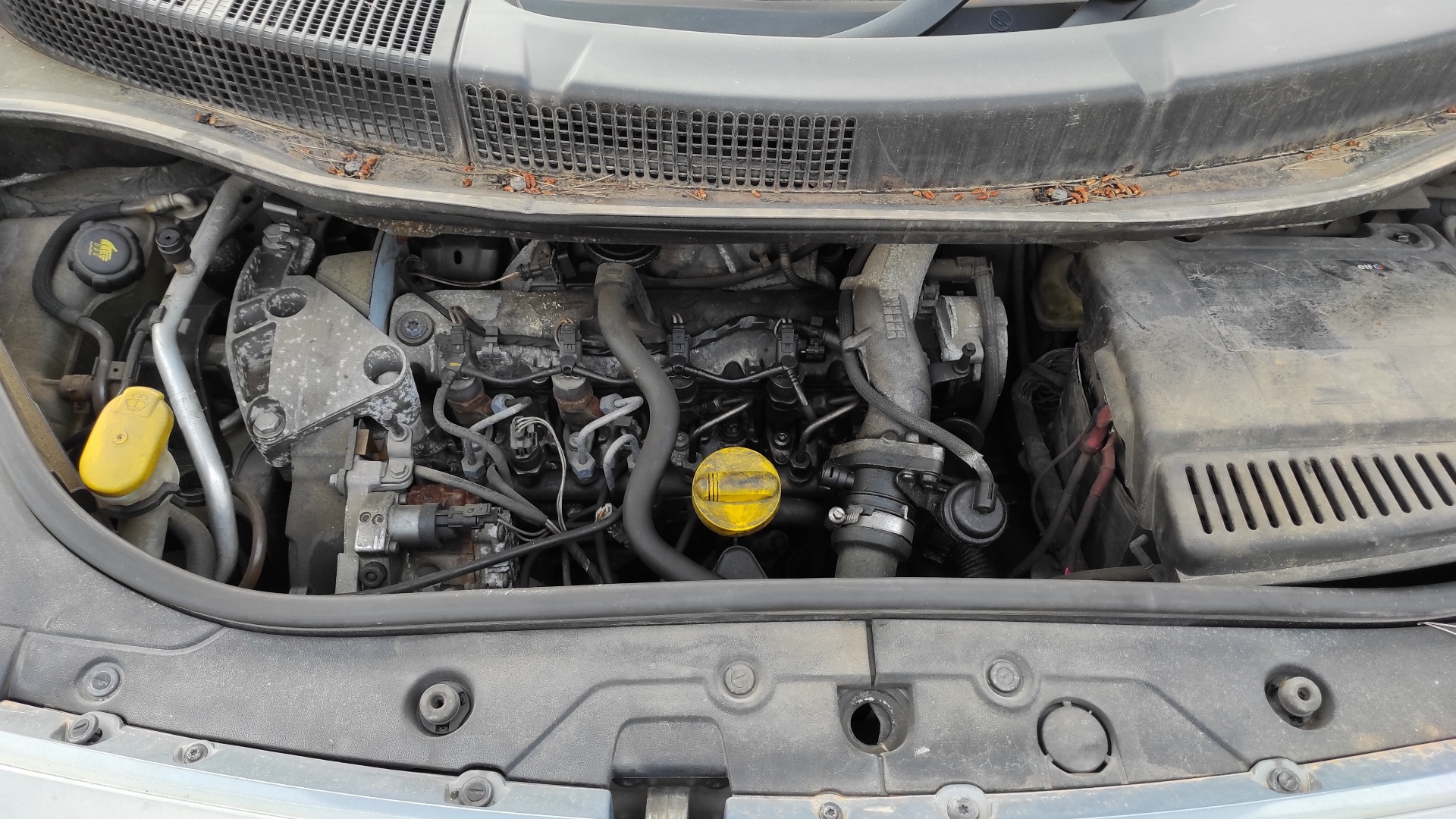 Vista 12