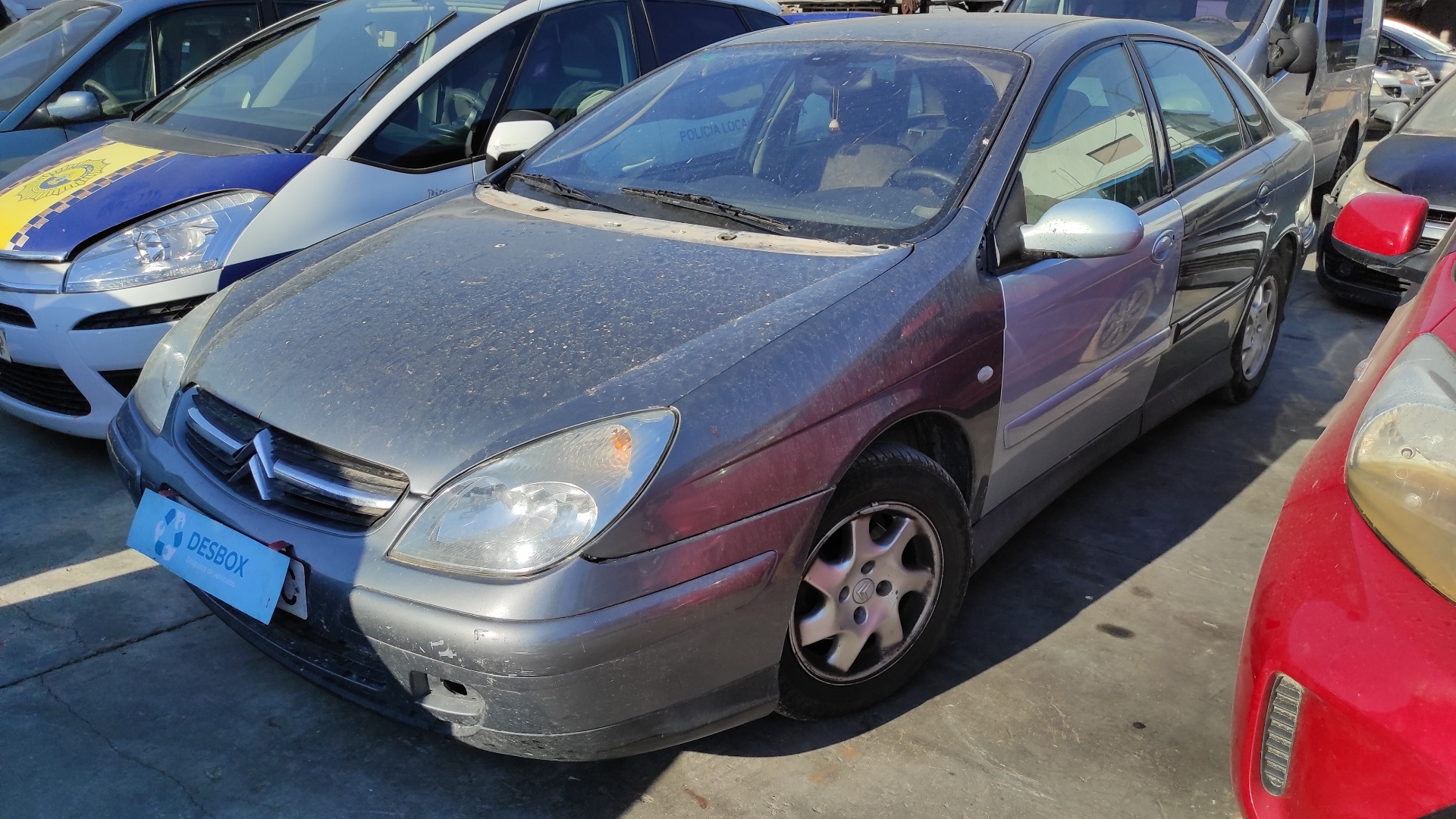 PUERTA DELANTERA IZQUIERDA CITROEN C5 BERLINA - vista 12