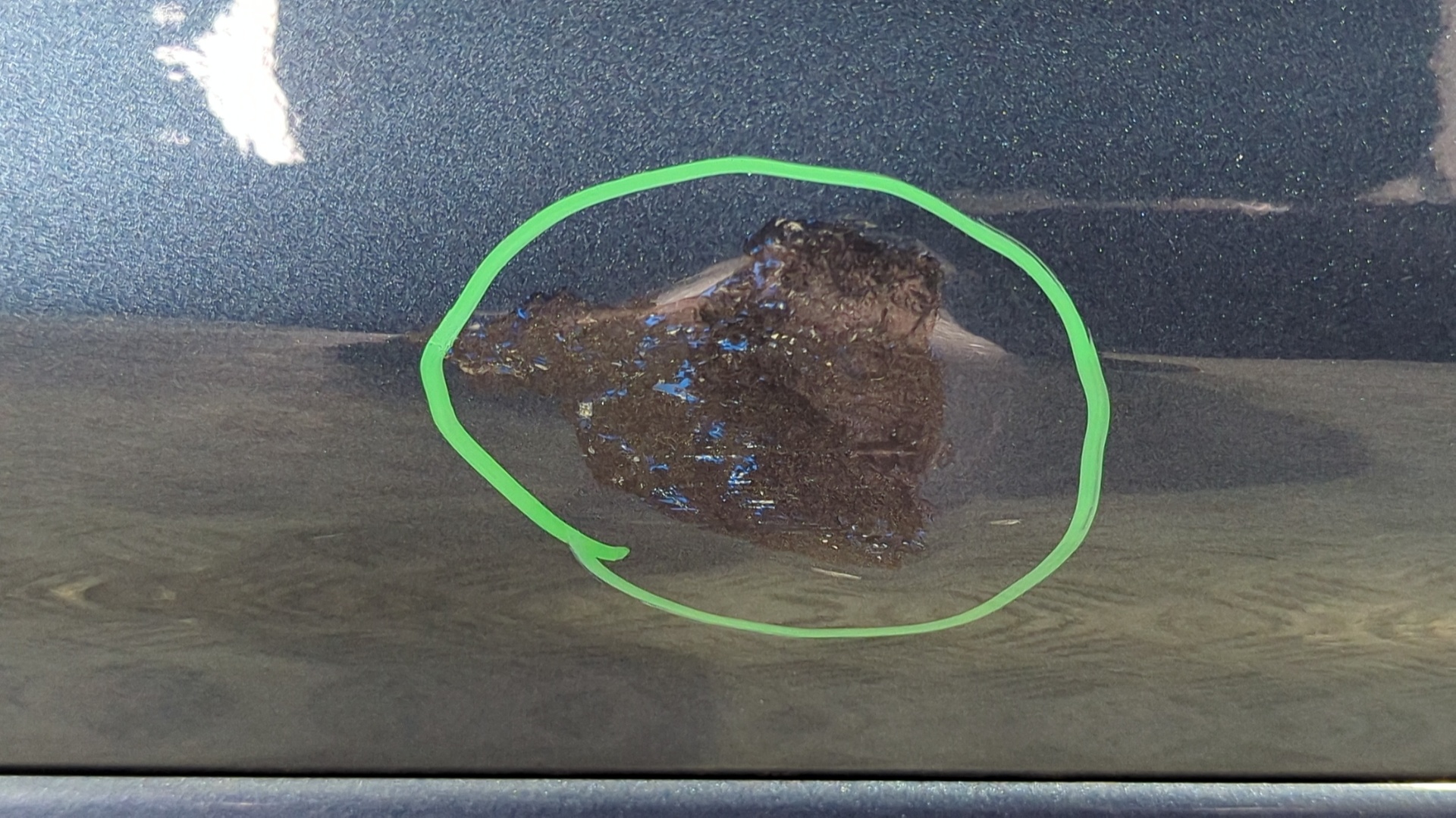 PUERTA TRASERA DERECHA FORD KUGA - vista 5