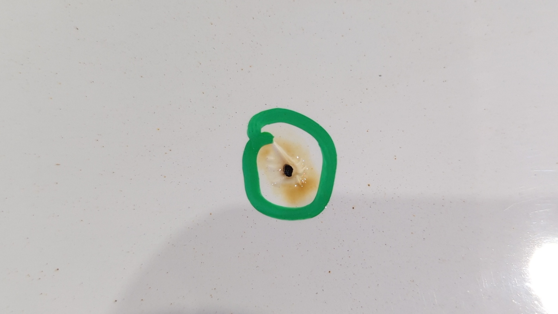 PORTON TRASERO AUDI A1 SPORTBACK (8XF) - vista 4