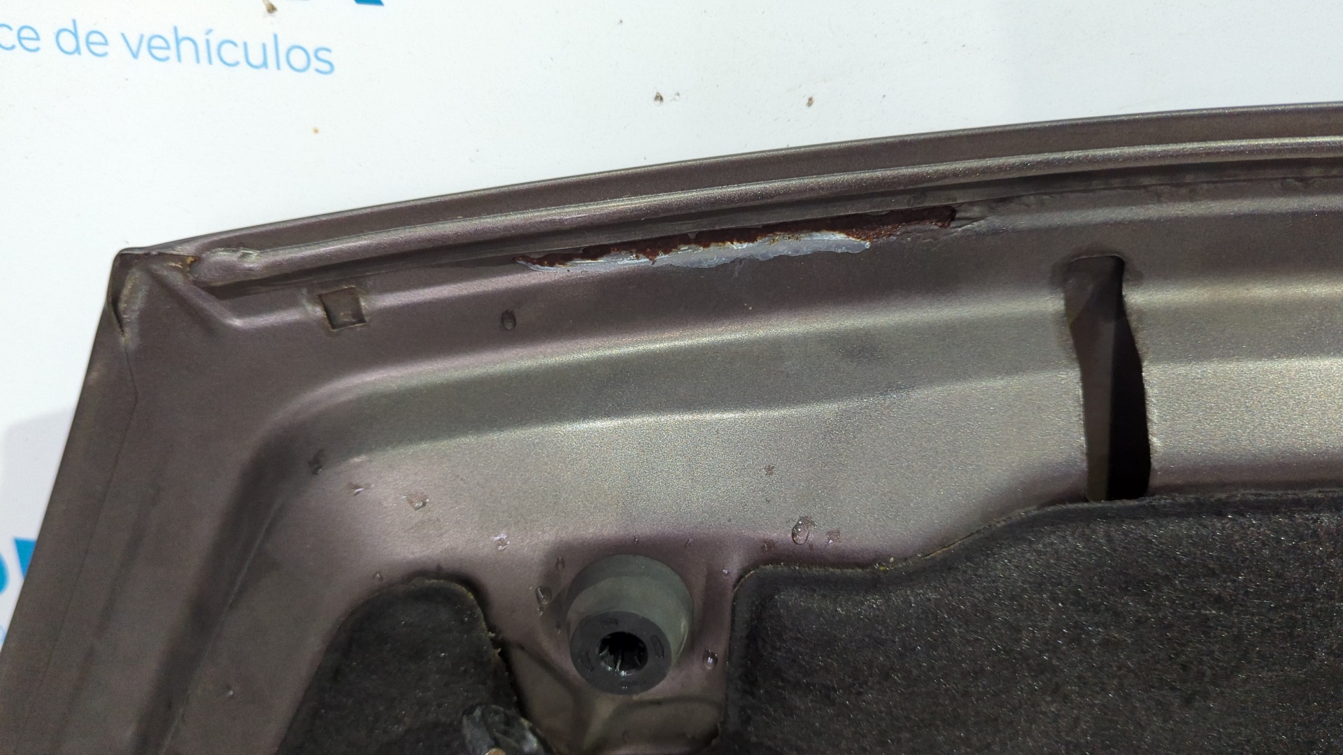 CAPO PEUGEOT PARTNER - vista 5