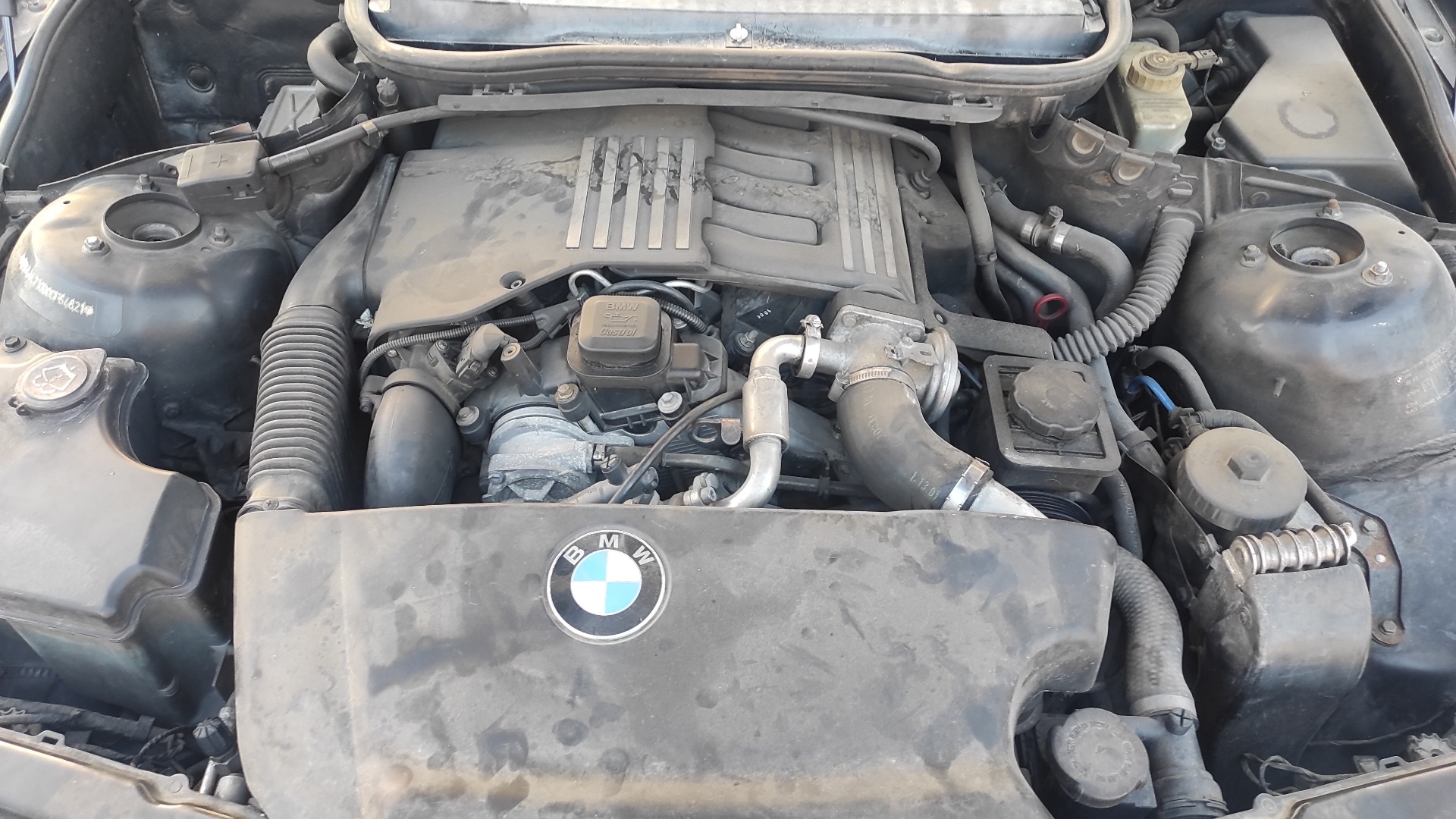 PILOTO TRASERO IZQUIERDO BMW SERIE 3 BERLINA (E46) - vista 11