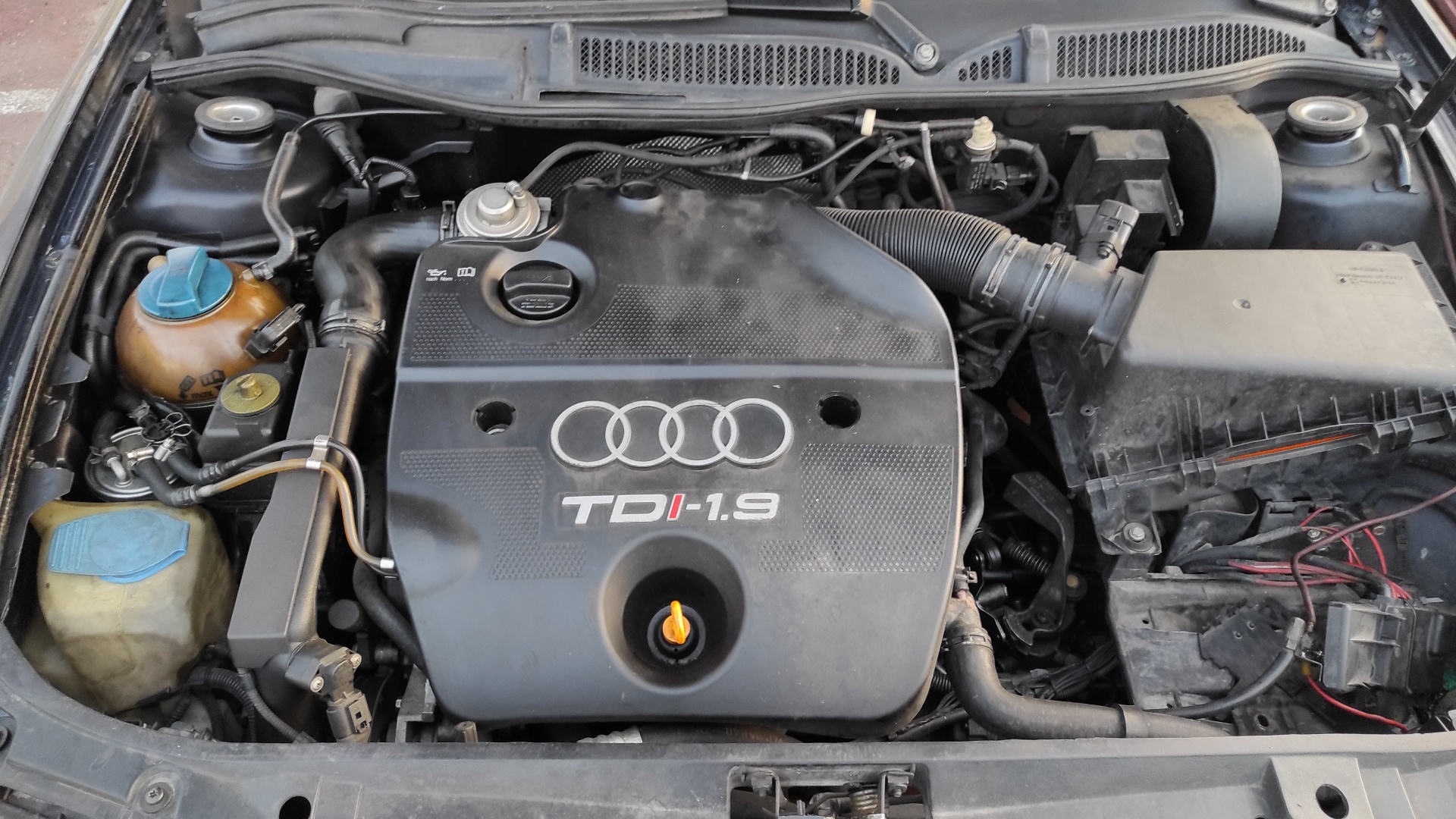 NEUMATICO REPUESTO AUDI A3 (8L) - vista 2