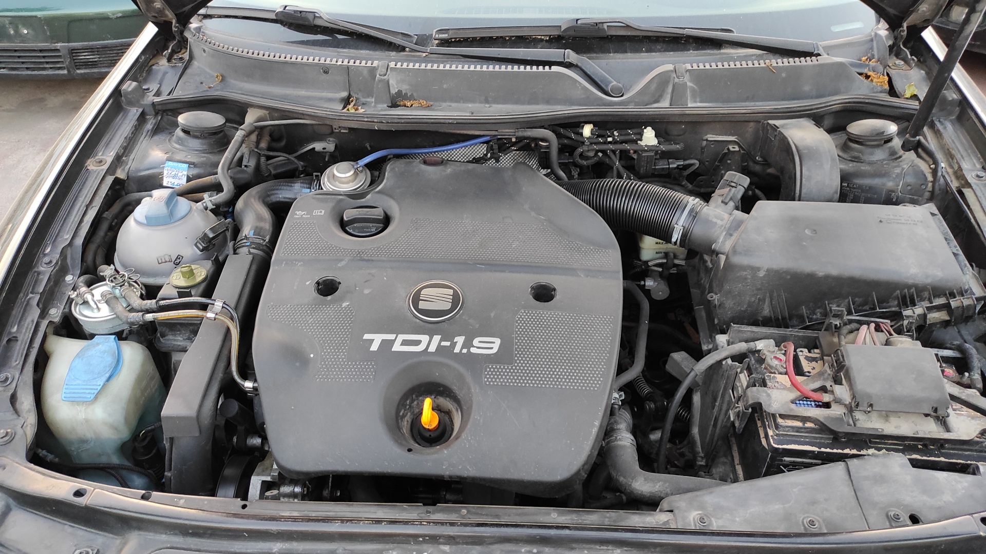 LUNA DELANTERA IZQUIERDA SEAT LEON (1M1) - vista 8