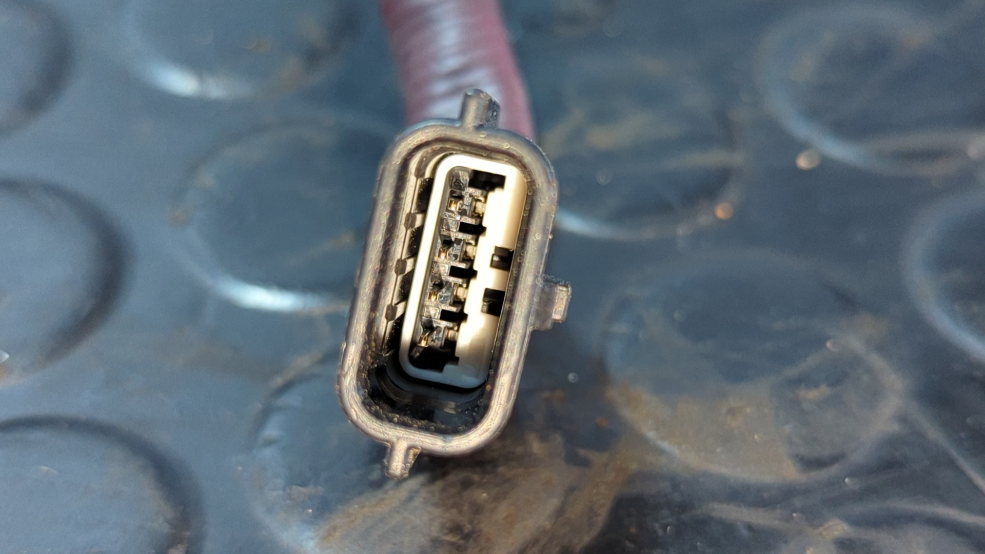 CATALIZADOR RENAULT SCENIC III - vista 5