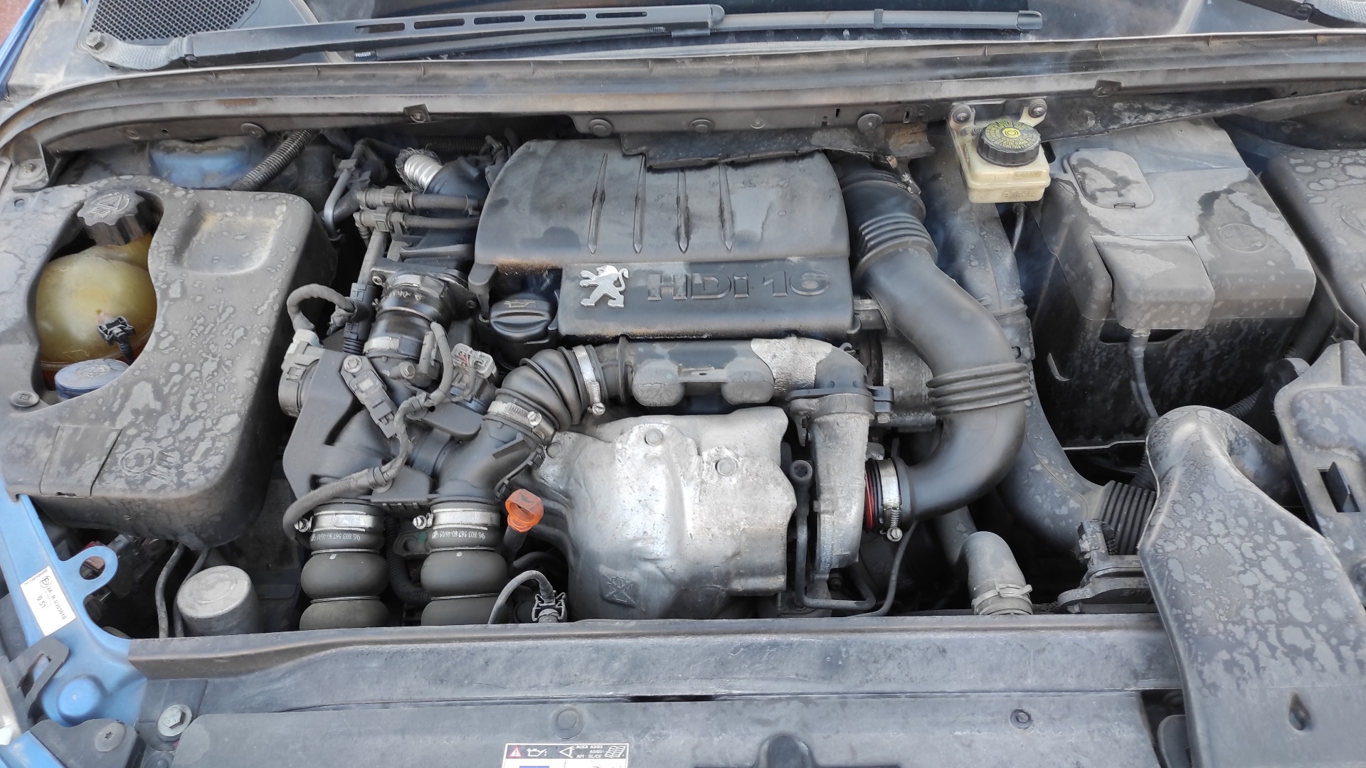 AFORADOR PEUGEOT 307 (S1) - vista 8