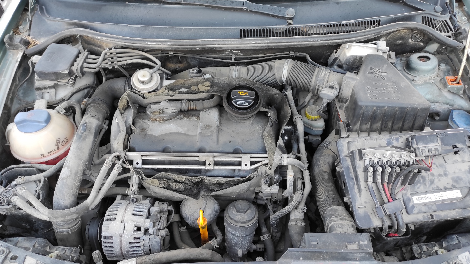 LUNA TRASERA SEAT CORDOBA BERLINA (6L2) - vista 9