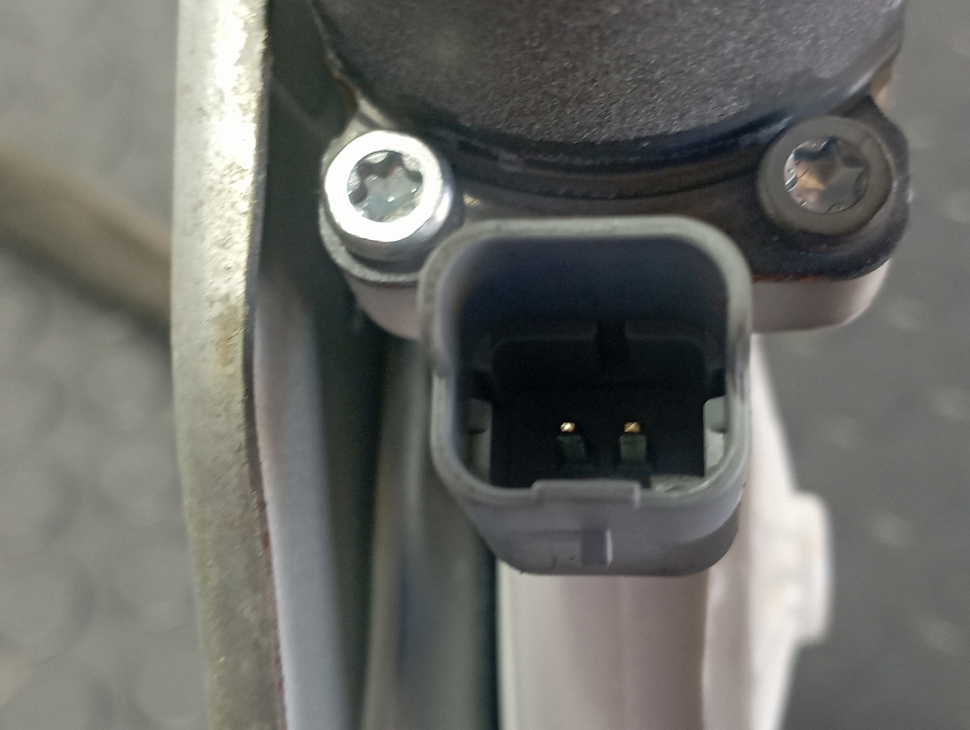 ELEVALUNAS DELANTERO DERECHO SSANGYONG KYRON - vista 3