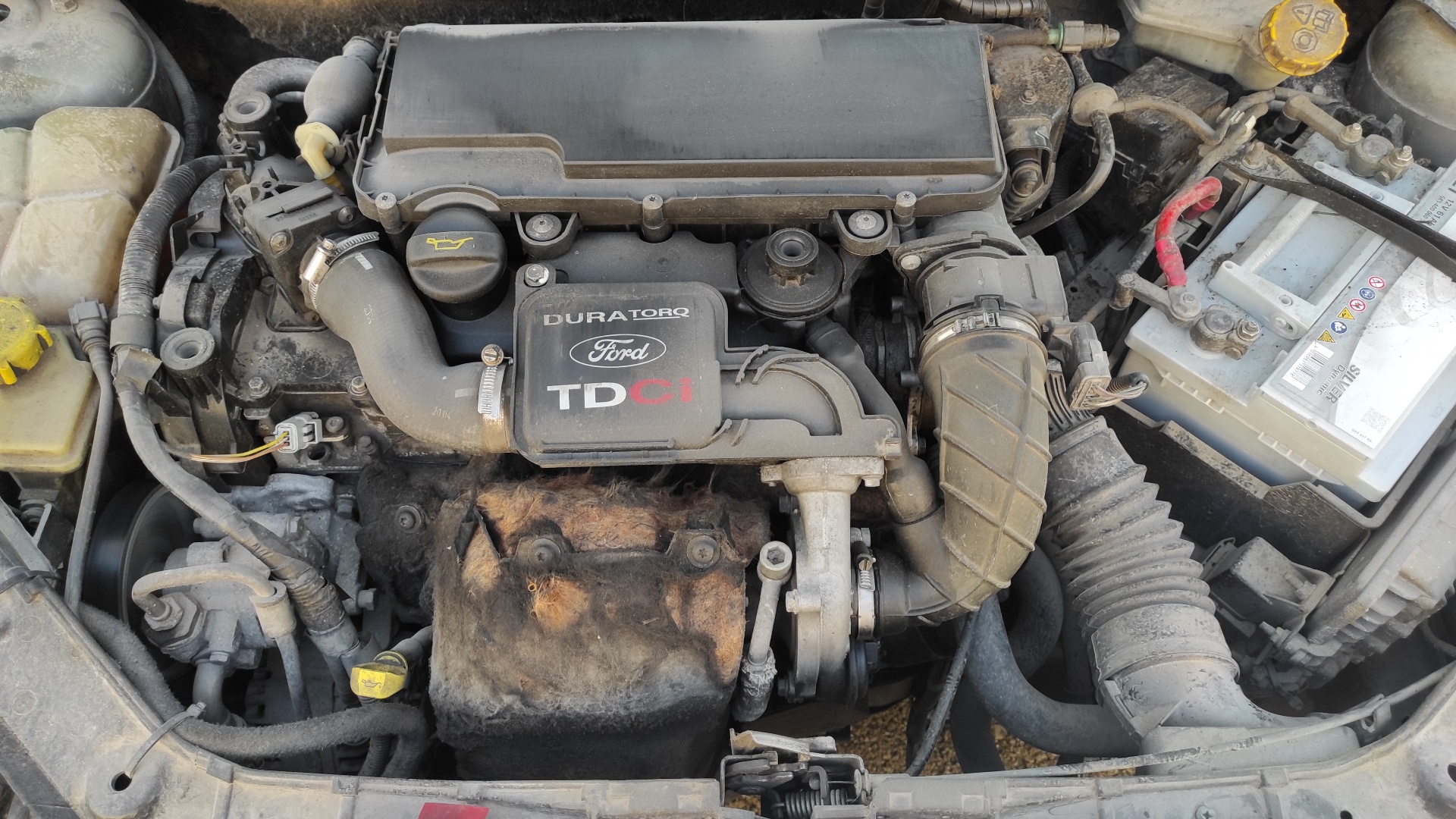 AMORTIGUADORES MALETERO / PORTON FORD FIESTA - vista 9