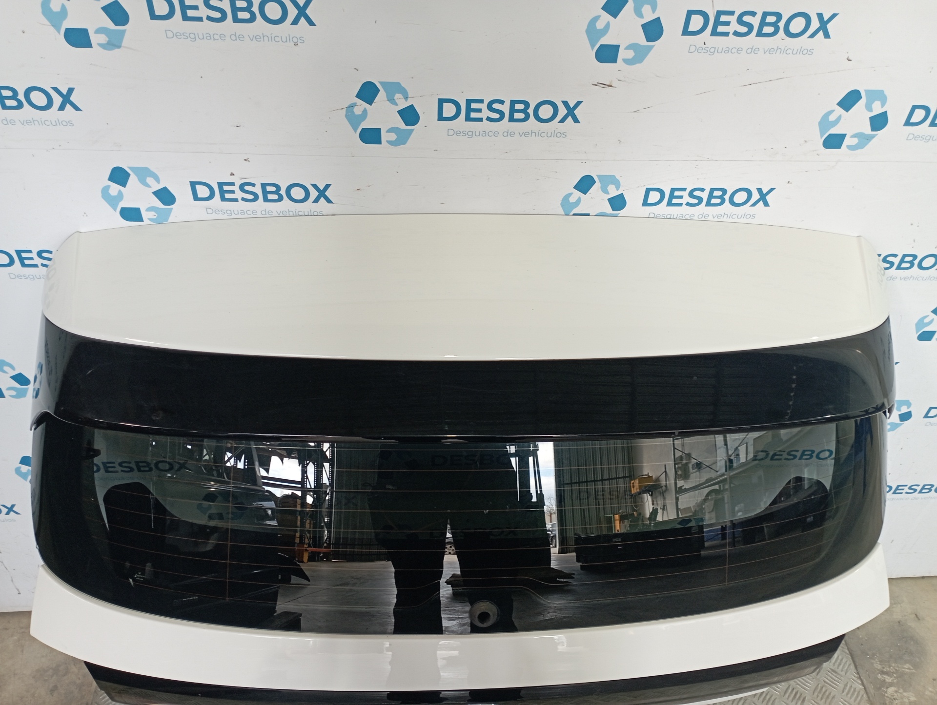 PORTON TRASERO VOLKSWAGEN T-CROSS (D31) - vista 4