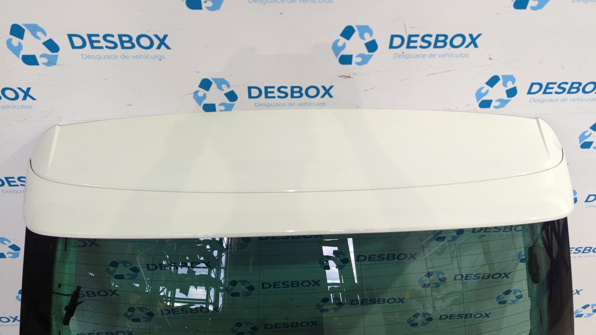 PORTON TRASERO VOLKSWAGEN TIGUAN - vista 3