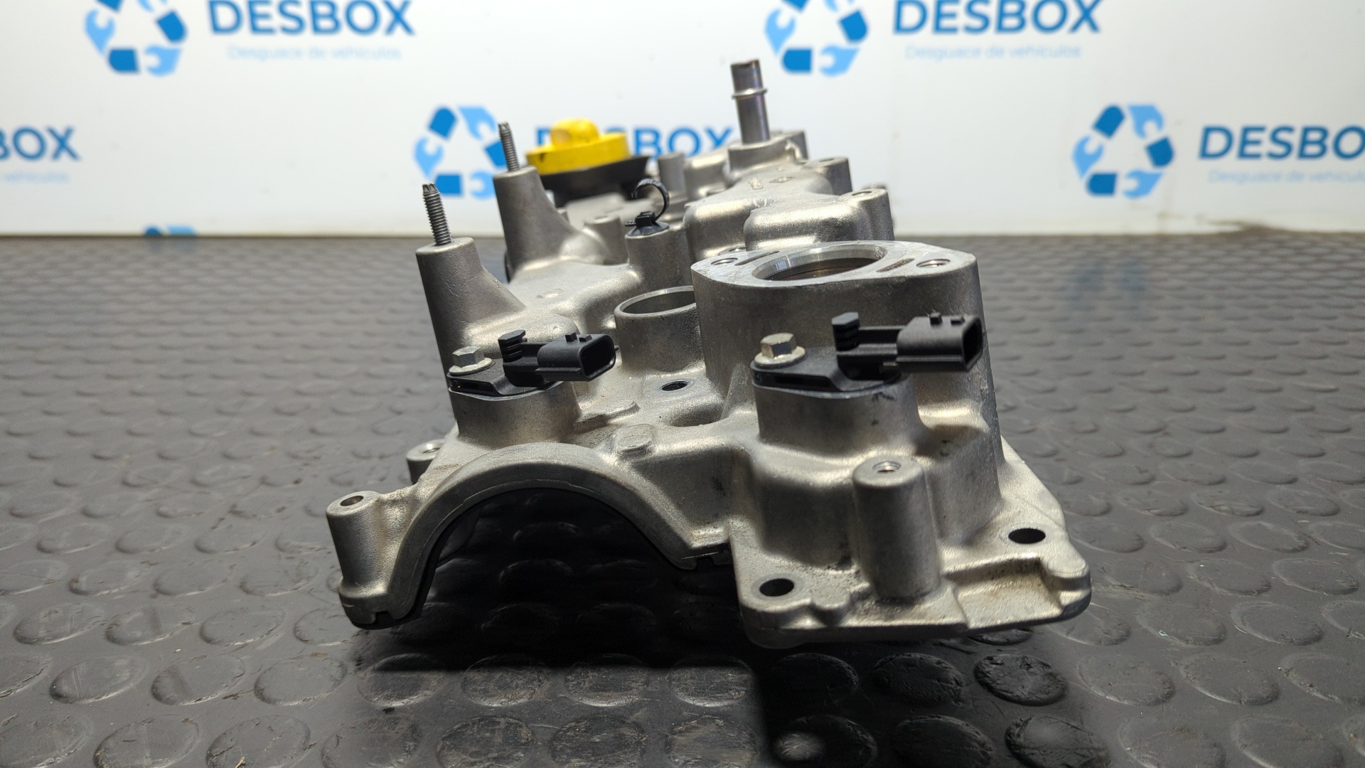 TAPA BALANCINES RENAULT SCENIC III - vista 2