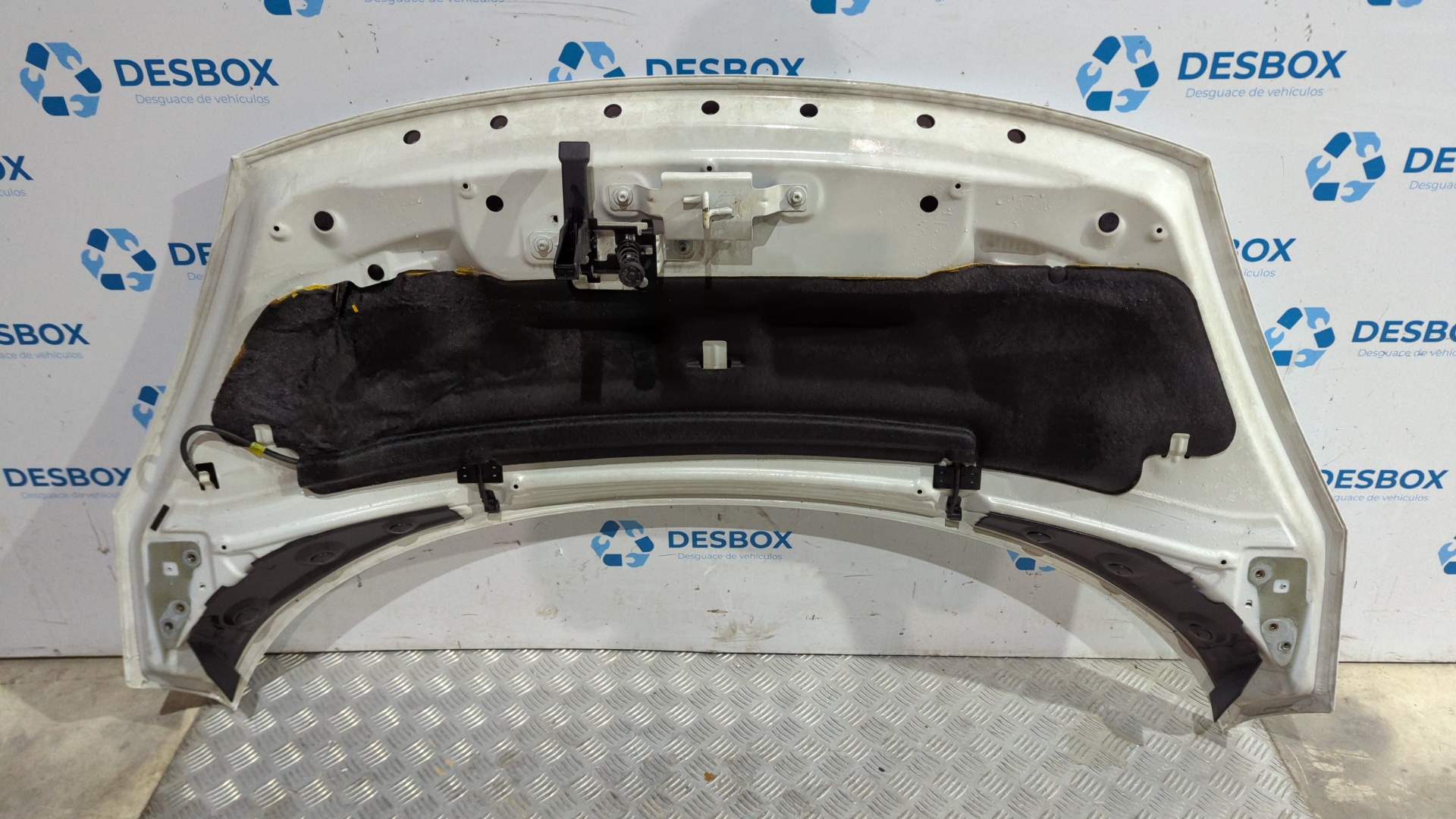 CAPO RENAULT SCENIC III - vista 4