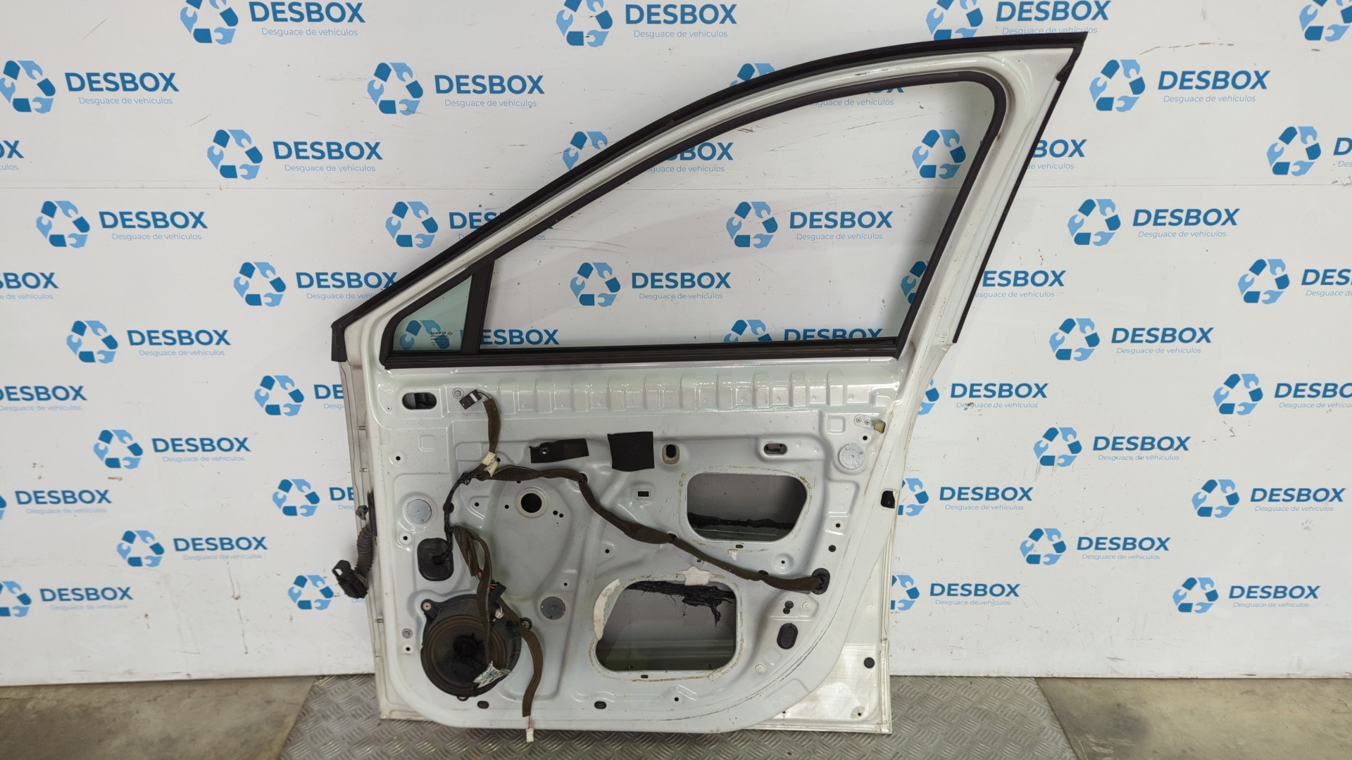 PUERTA DELANTERA DERECHA RENAULT SCENIC III - vista 3