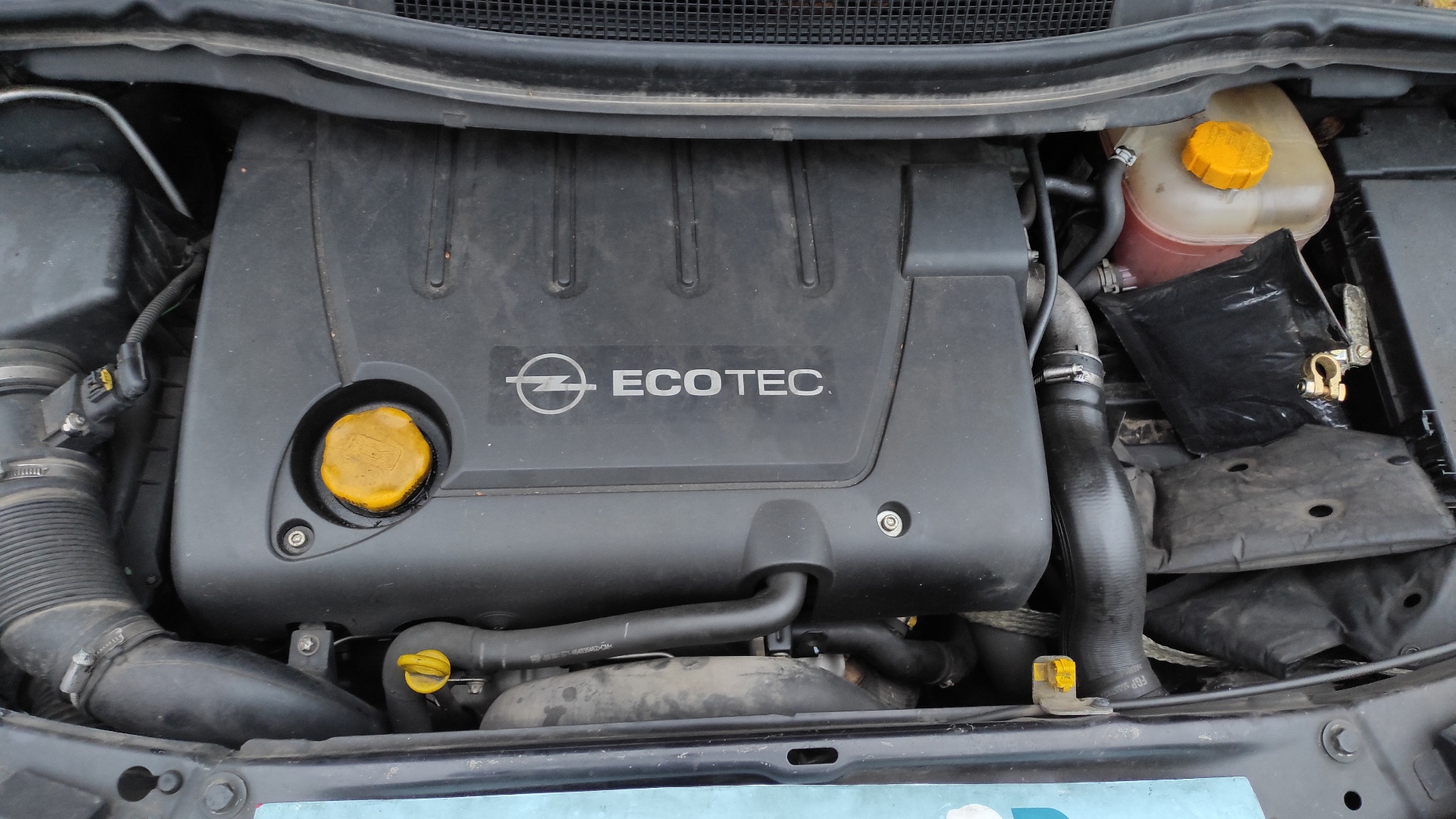 CATALIZADOR OPEL ZAFIRA B - recambio desguace - vista 13