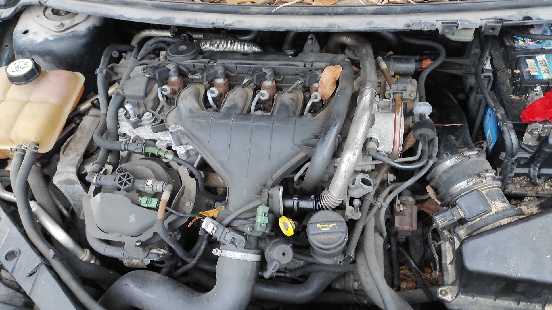 AMORTIGUADOR DELANTERO DERECHO FORD FOCUS BERLINA (CAP) - vista 10