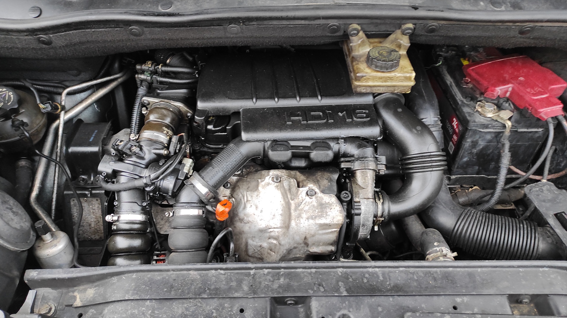 ALETA DELANTERA DERECHA CITROEN C4 GRAND PICASSO - vista 15