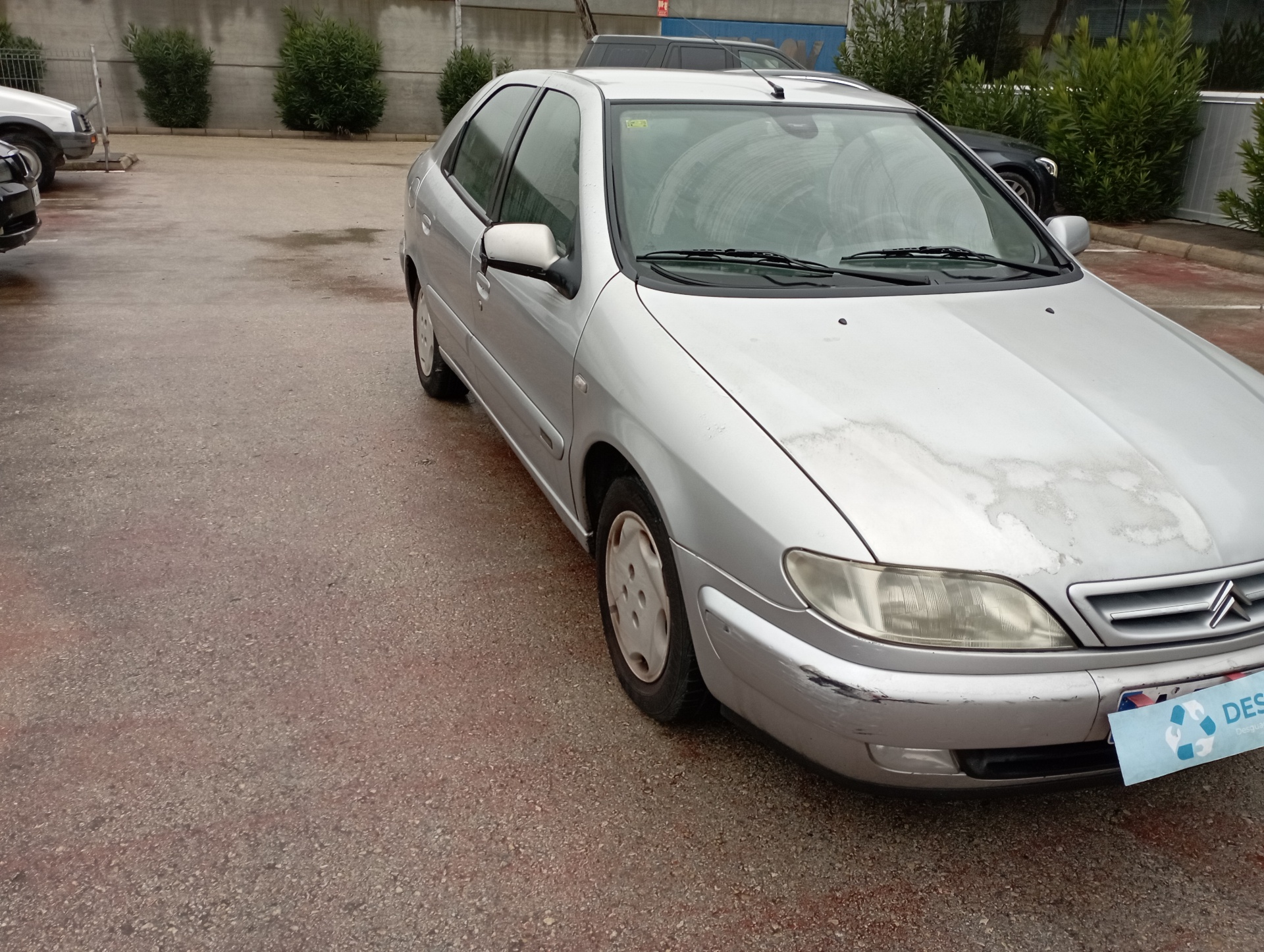 FARO DERECHO CITROEN XSARA BERLINA - vista 8