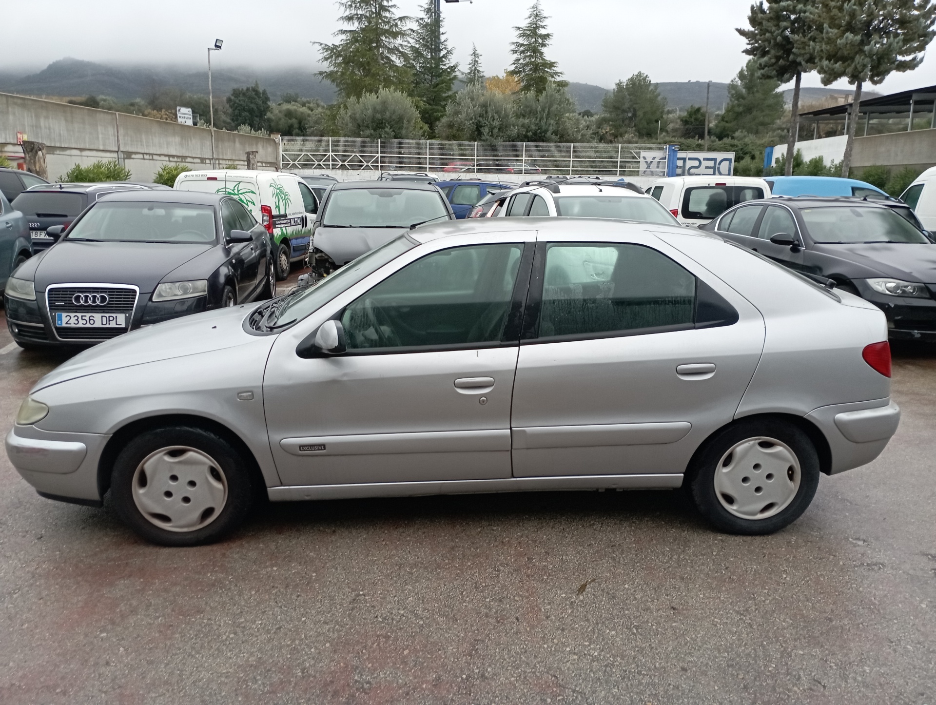 FARO DERECHO CITROEN XSARA BERLINA - vista 3