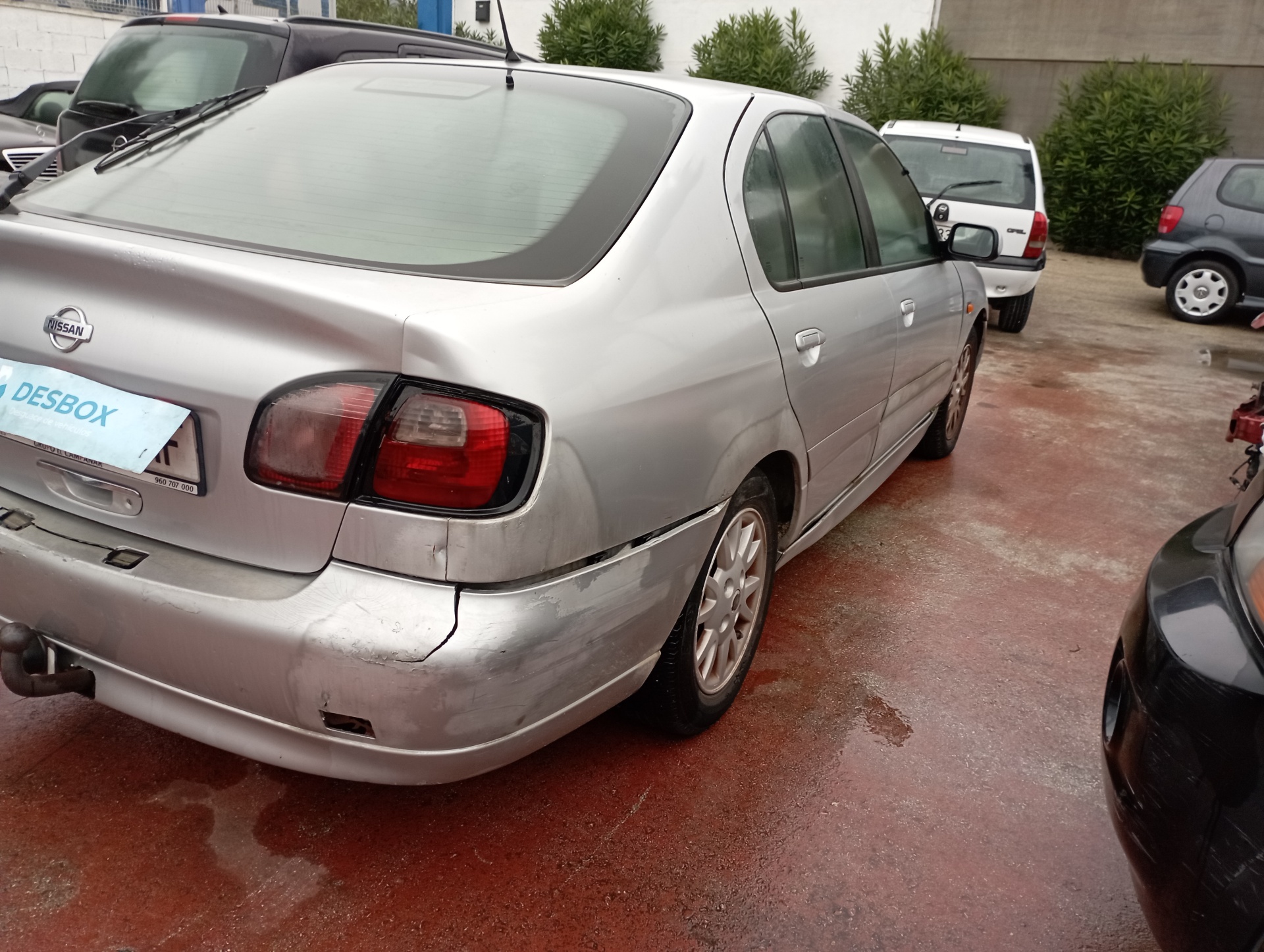 CINTURON DELANTERO DERECHO NISSAN PRIMERA BERLINA (P11) - vista 6