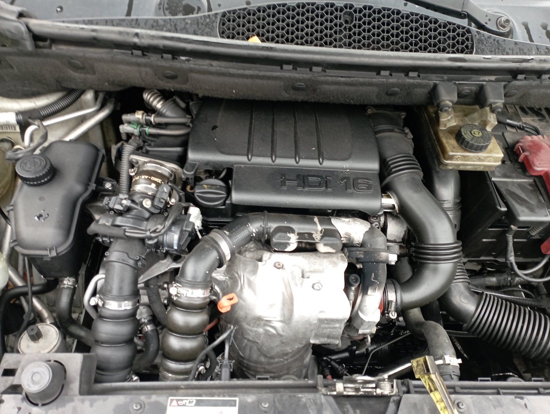 SONDA LAMBDA CITROEN BERLINGO STATION WAGON - vista 9