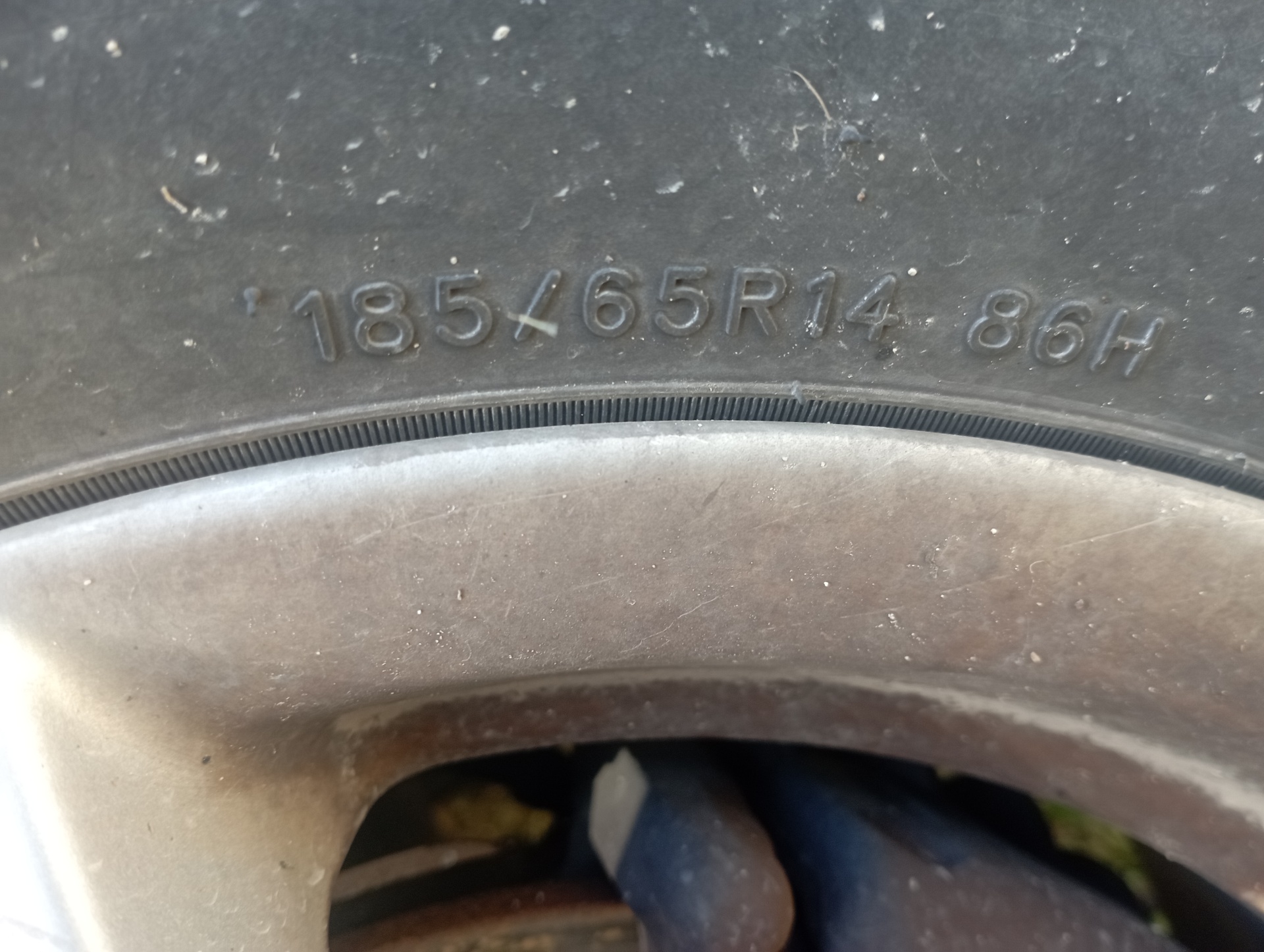 CATALIZADOR FORD FOCUS BERLINA (CAK) - recambio desguace - vista 13
