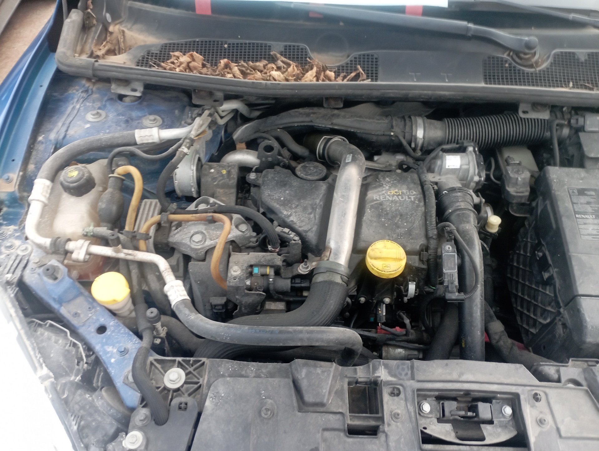 PUERTA DELANTERA DERECHA RENAULT MEGANE III SPORT TOURER - vista 13