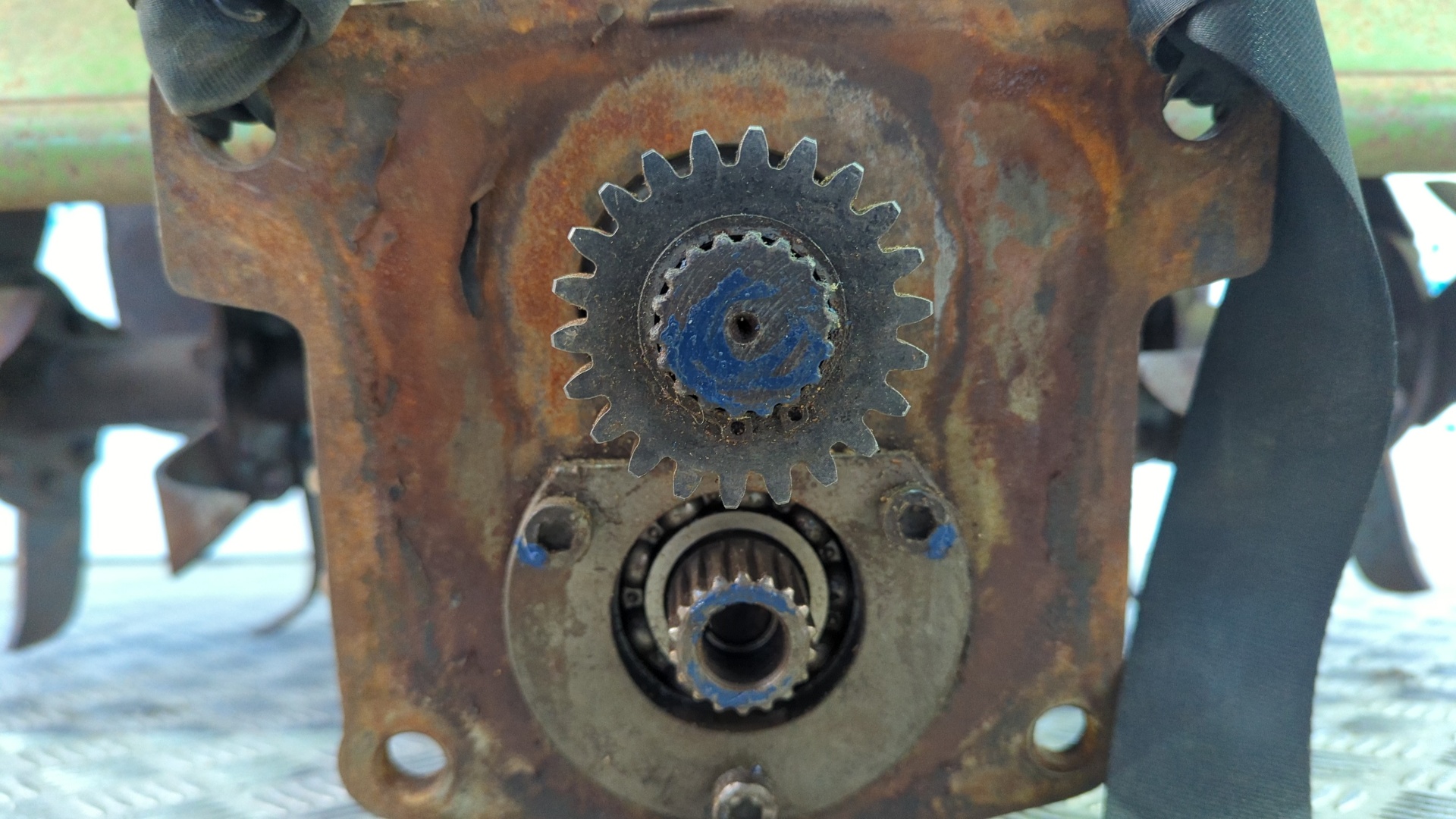 ROTOVATOR AGRIA 2700 DL - vista 5