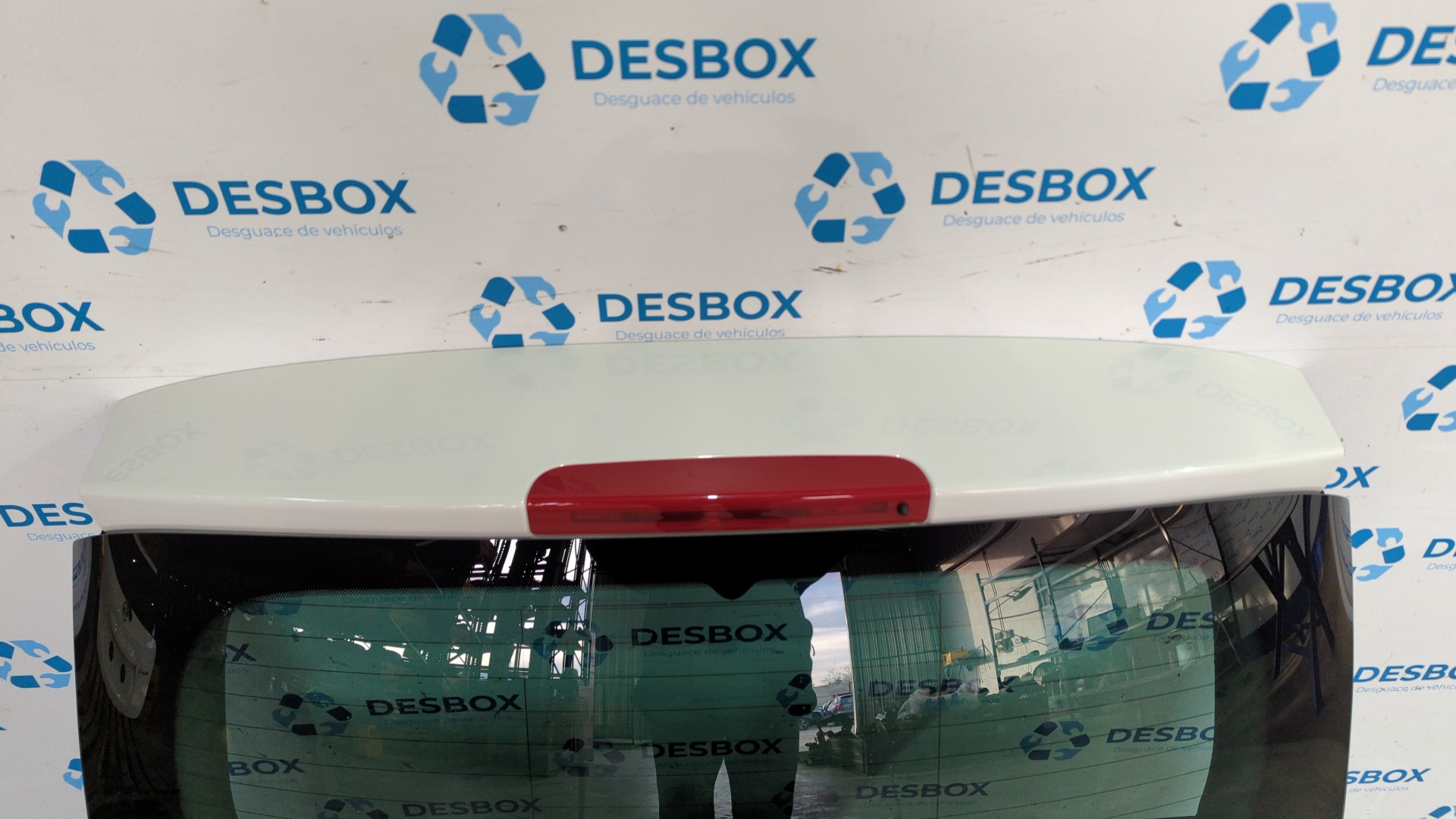 PORTON TRASERO RENAULT SCENIC III - vista 2