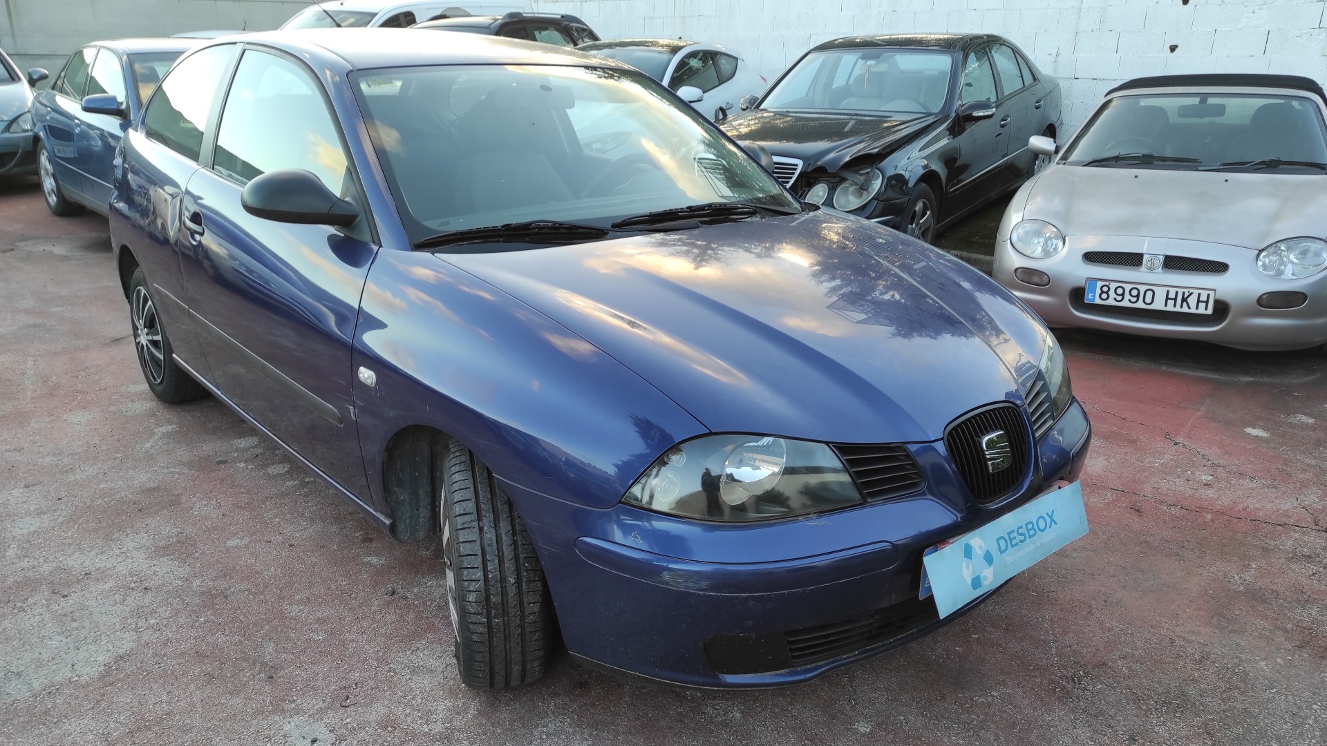 SEAT IBIZA (6L1)