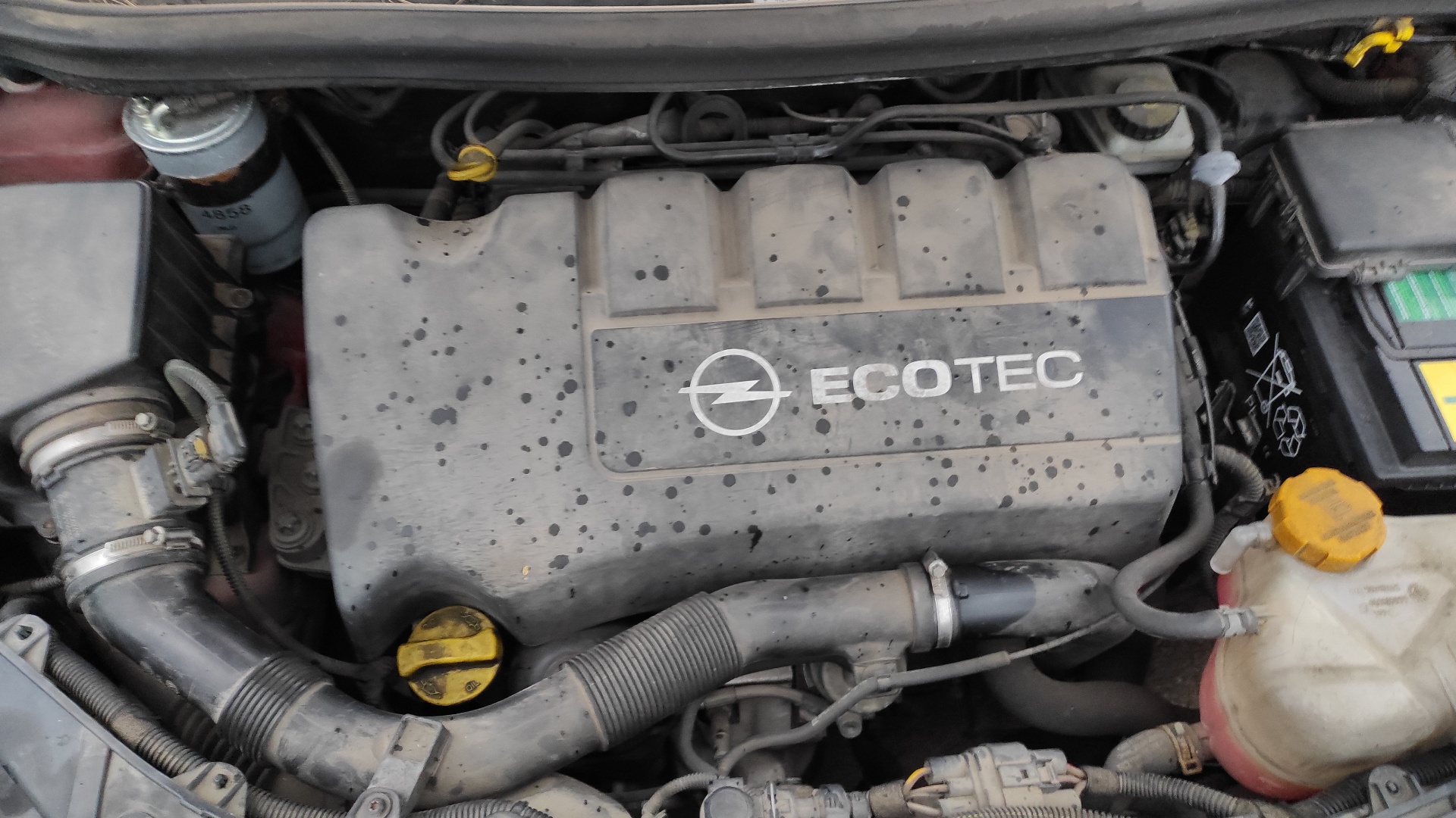 PUERTA DELANTERA DERECHA OPEL CORSA D - vista 12