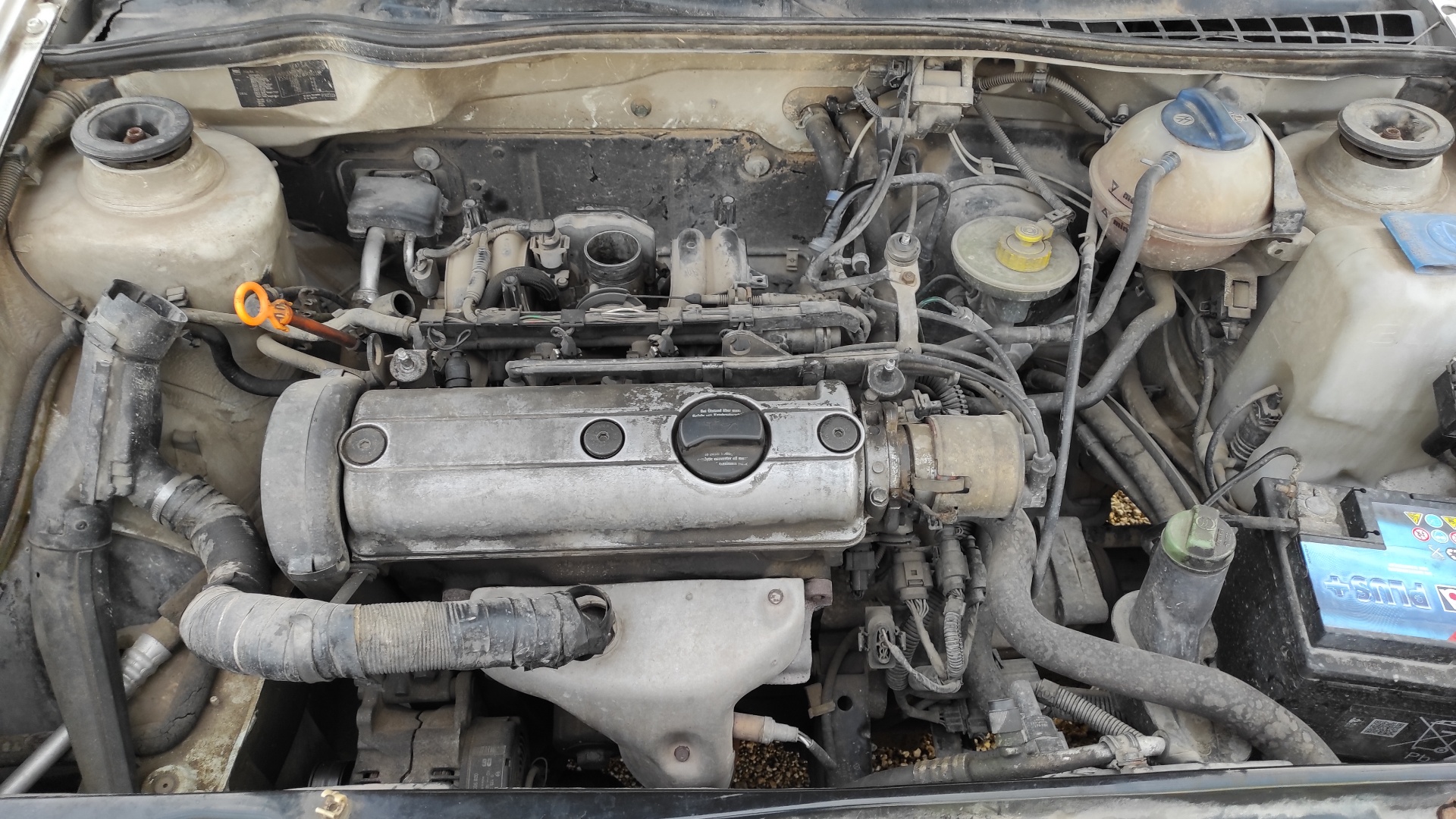 PILOTO DELANTERO DERECHO SEAT IBIZA (6K) - vista 11