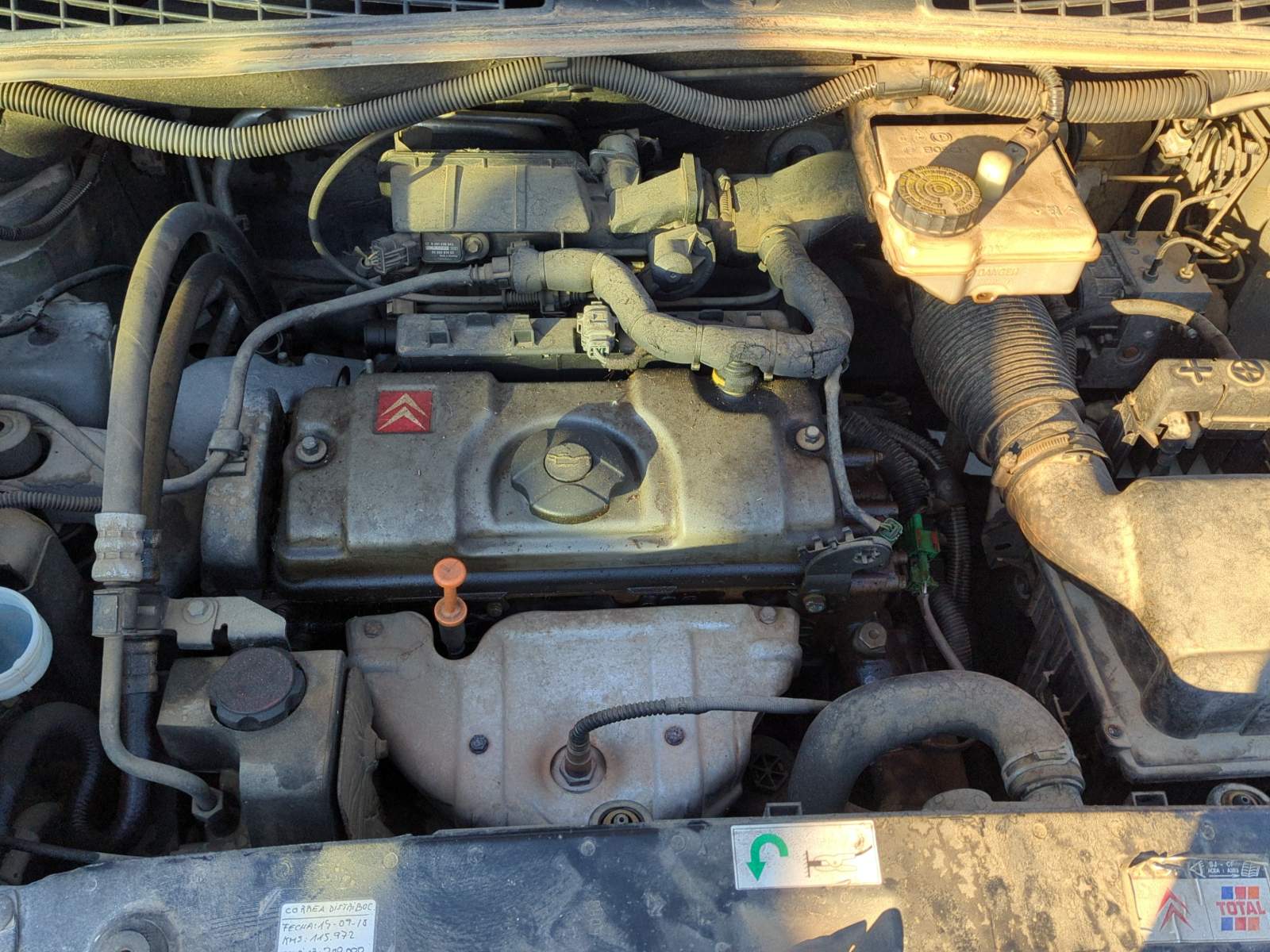 PILOTO TRASERO DERECHO CITROEN XSARA PICASSO - vista 12