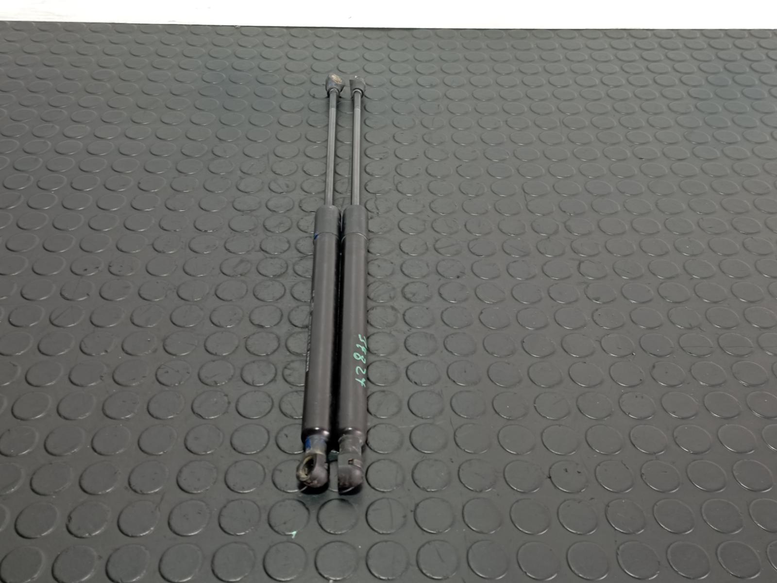 AMORTIGUADORES MALETERO / PORTON DACIA SANDERO