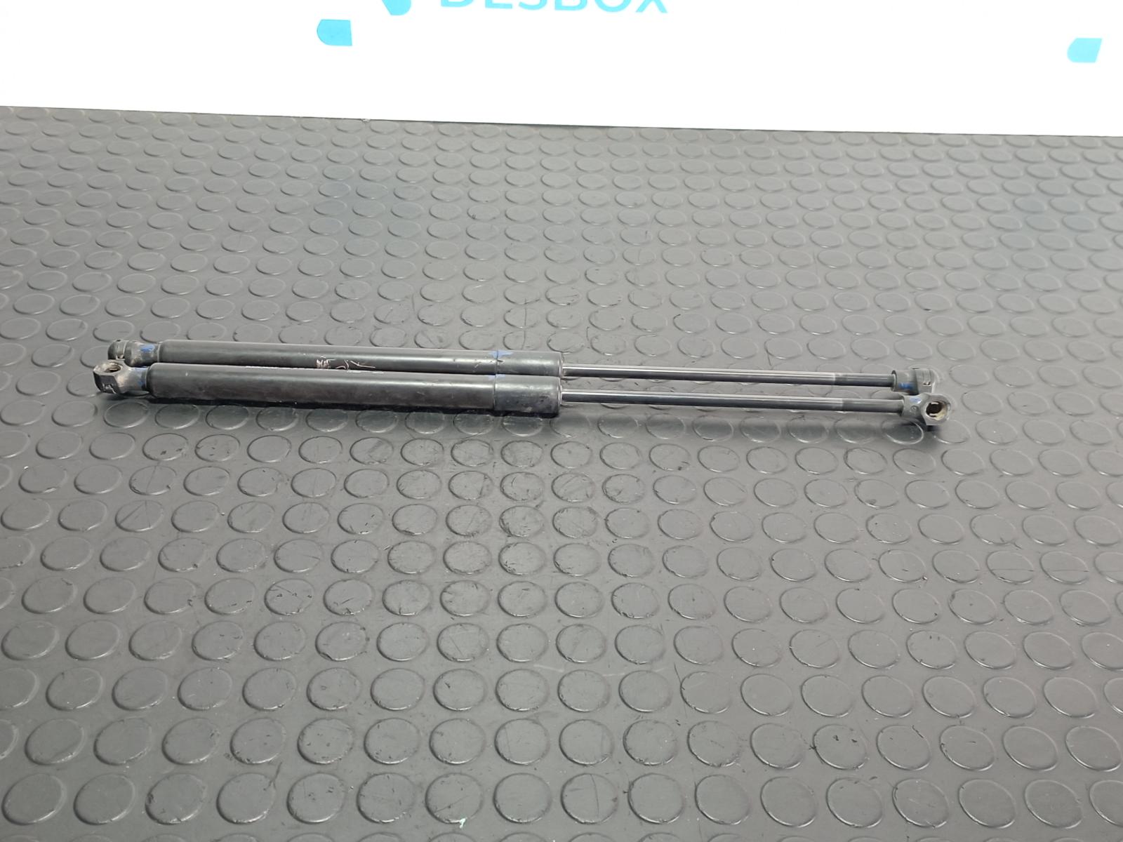 AMORTIGUADORES MALETERO / PORTON DACIA SANDERO - vista 2