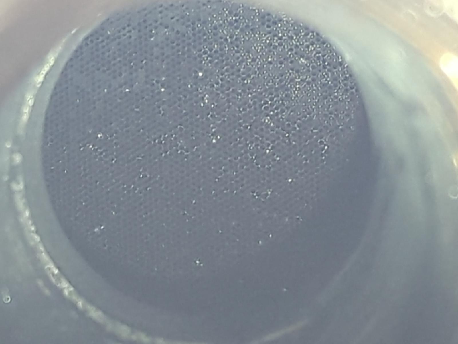 FILTRO DE PARTICULAS RENAULT SCENIC III - vista 3