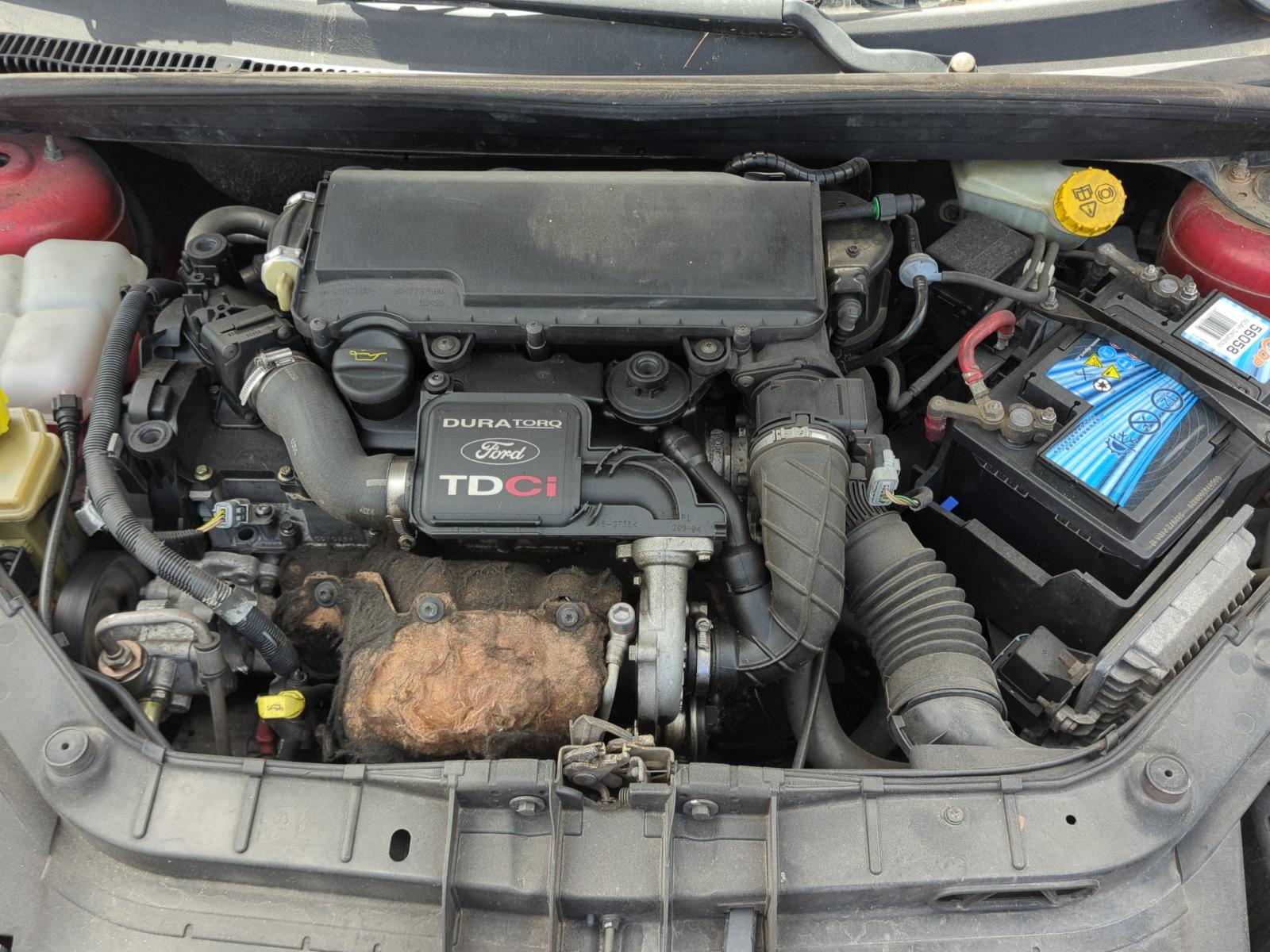 PORTON TRASERO FORD FIESTA (CBK) - recambio desguace - vista 13