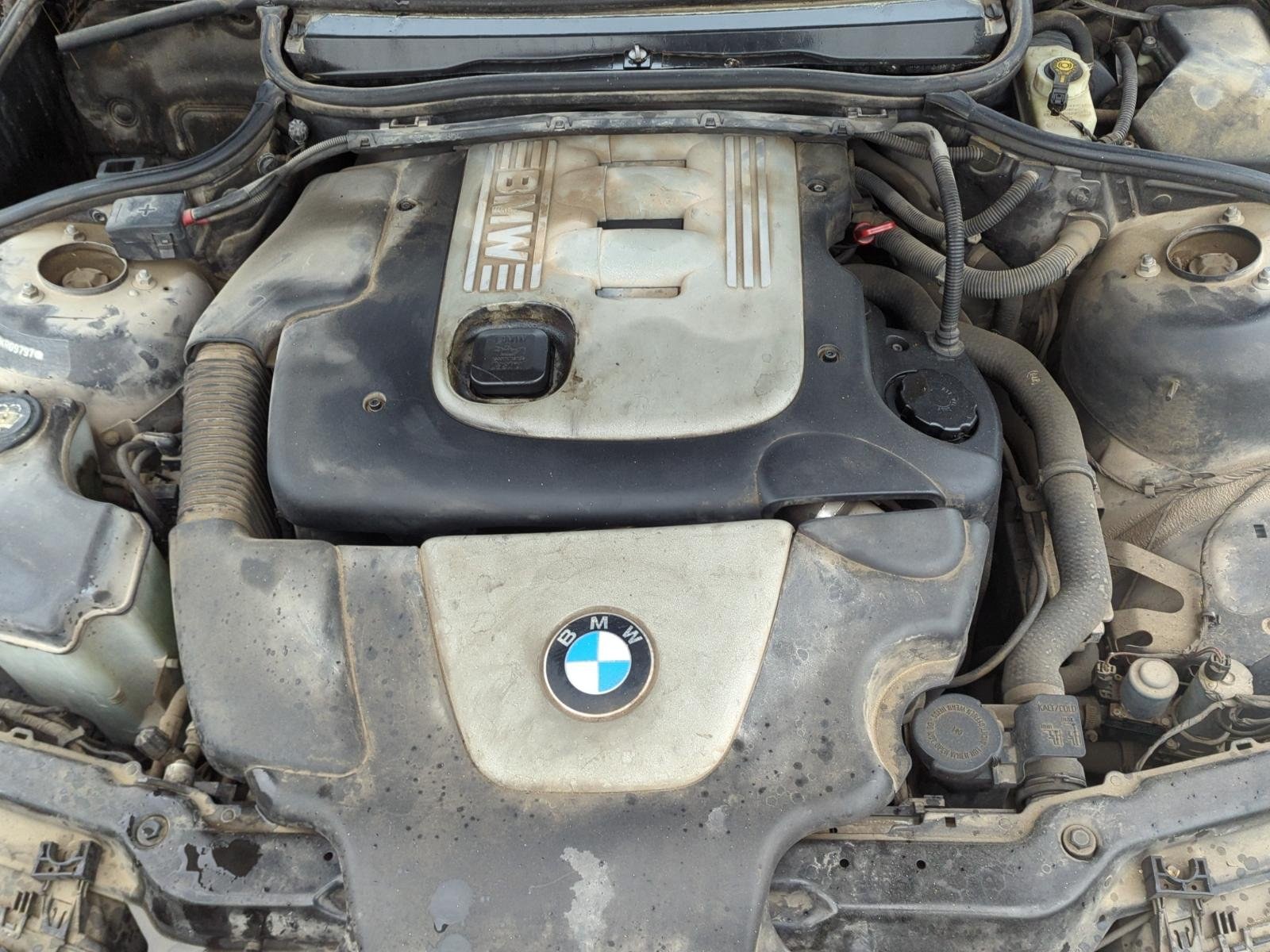 CINTURON DELANTERO DERECHO BMW SERIE 3 COMPACT (E46) - recambio desguace - vista 10