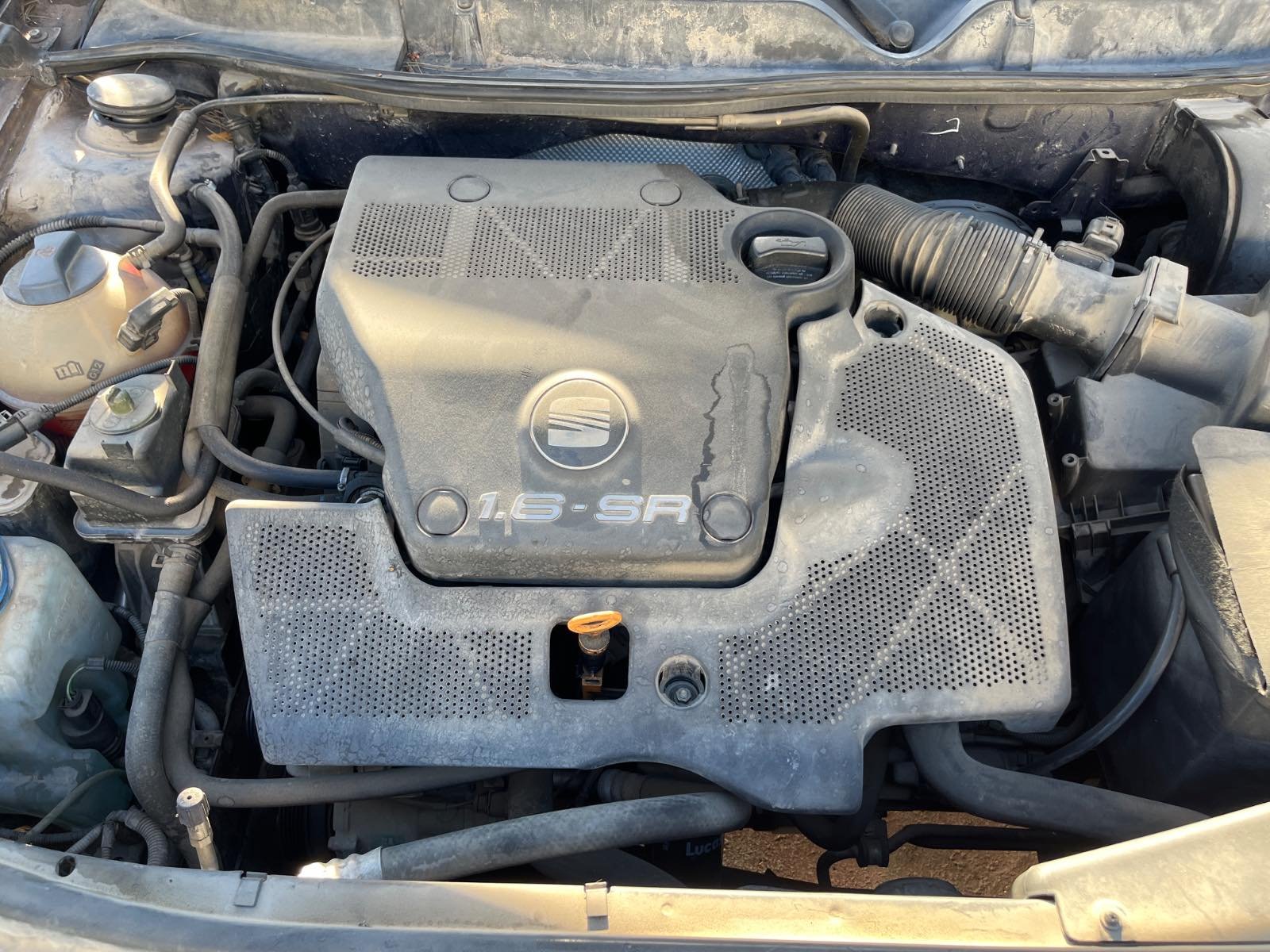 NEUMATICO REPUESTO SEAT LEON (1M1) - recambio desguace - vista 10
