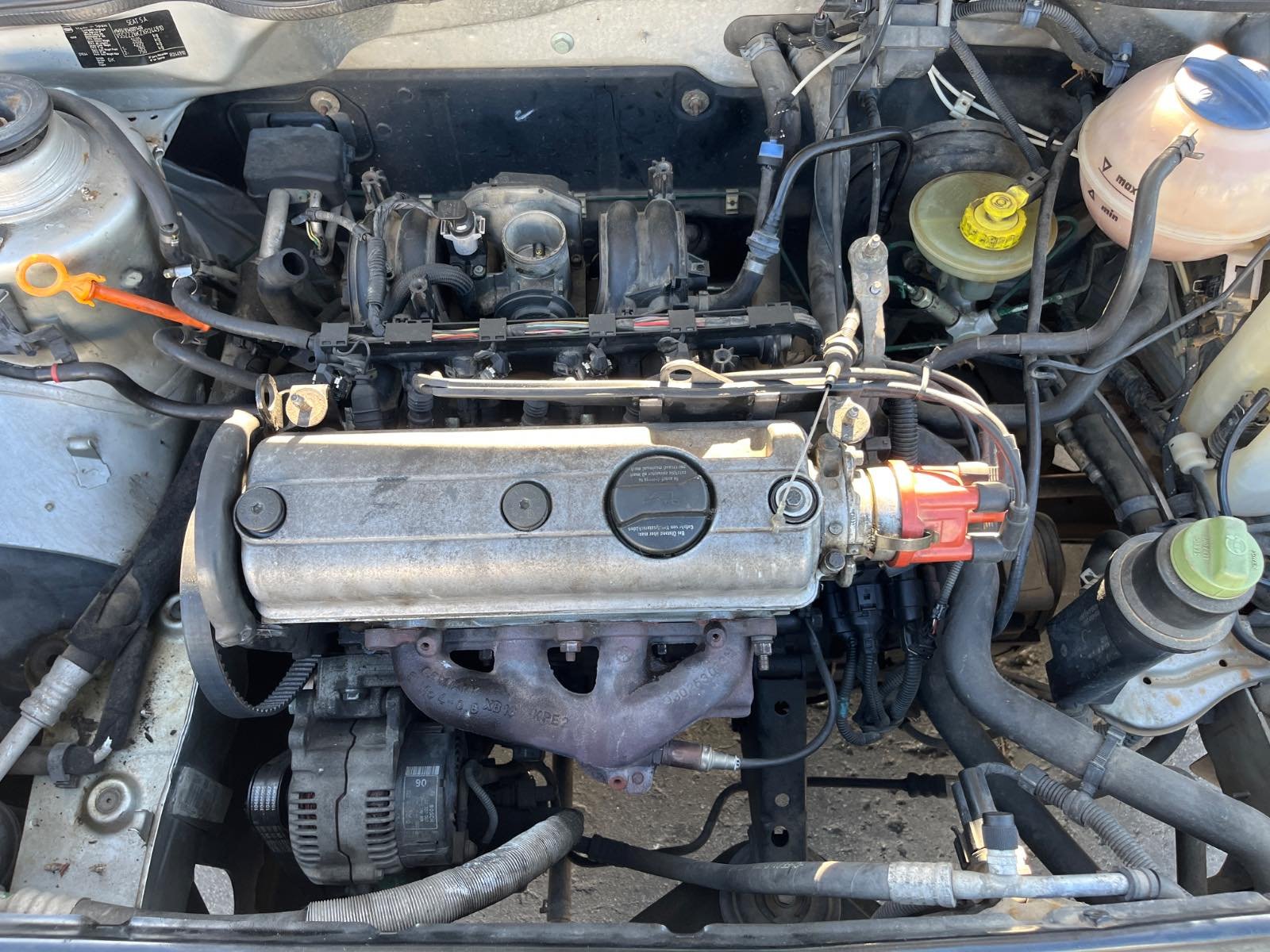 CATALIZADOR SEAT IBIZA (6K) - recambio desguace - vista 12