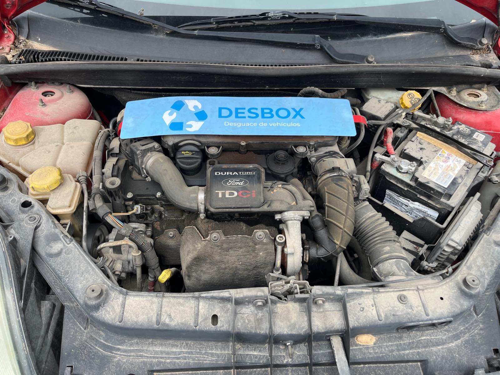 CATALIZADOR FORD FIESTA (CBK) - recambio desguace - vista 13