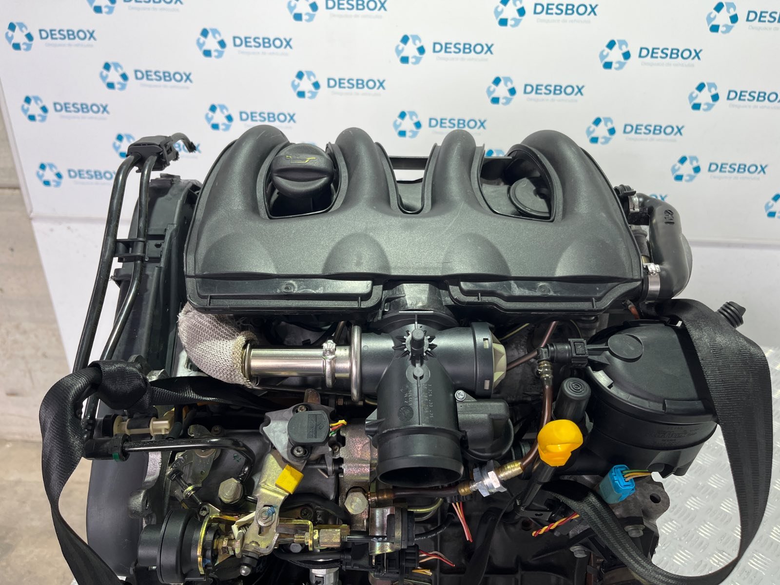 Recambio de MOTOR para PEUGEOT 206 BERLINA WJY referencia OEM IAM WJY - BLANCO 4