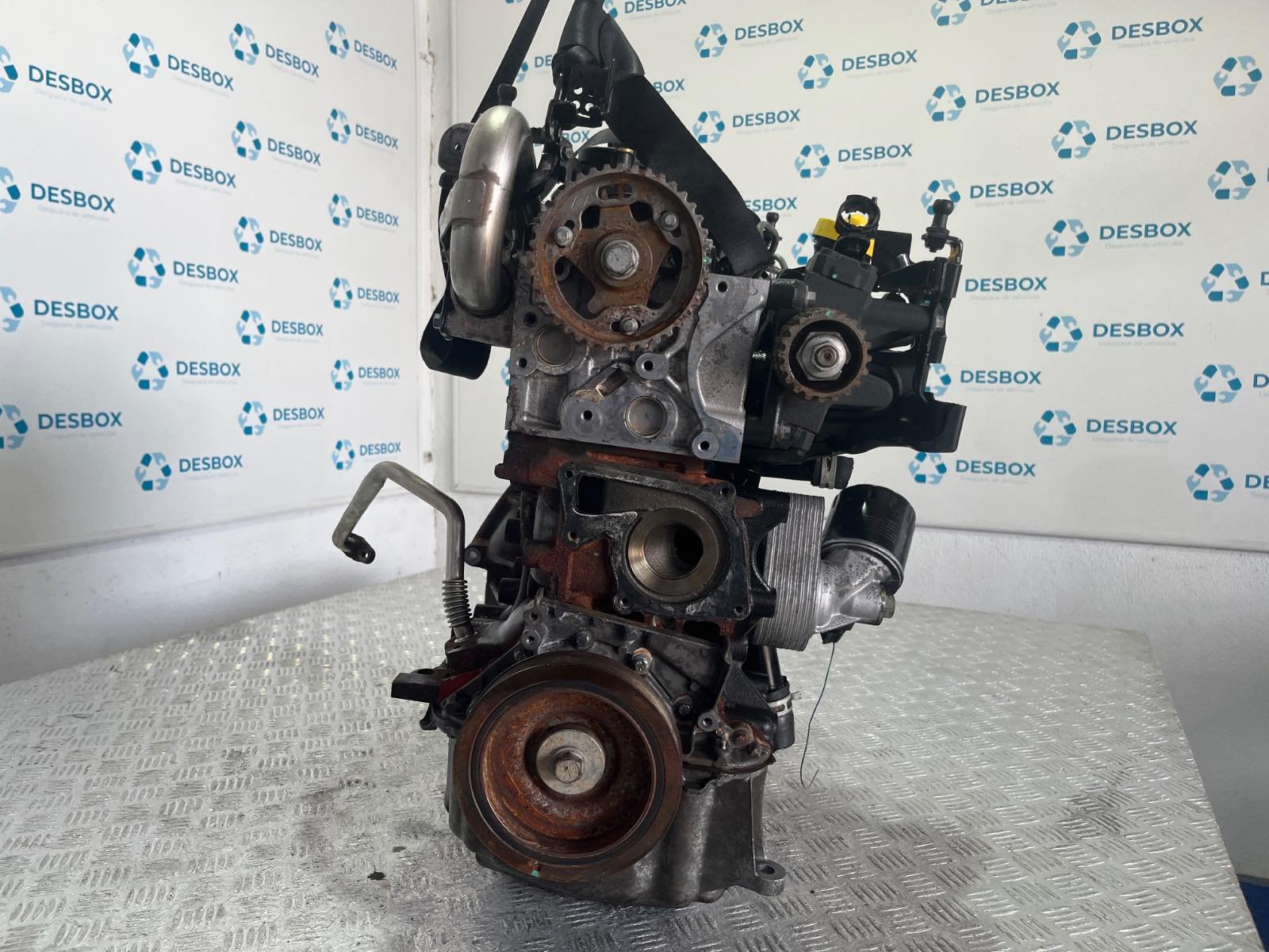 MOTOR