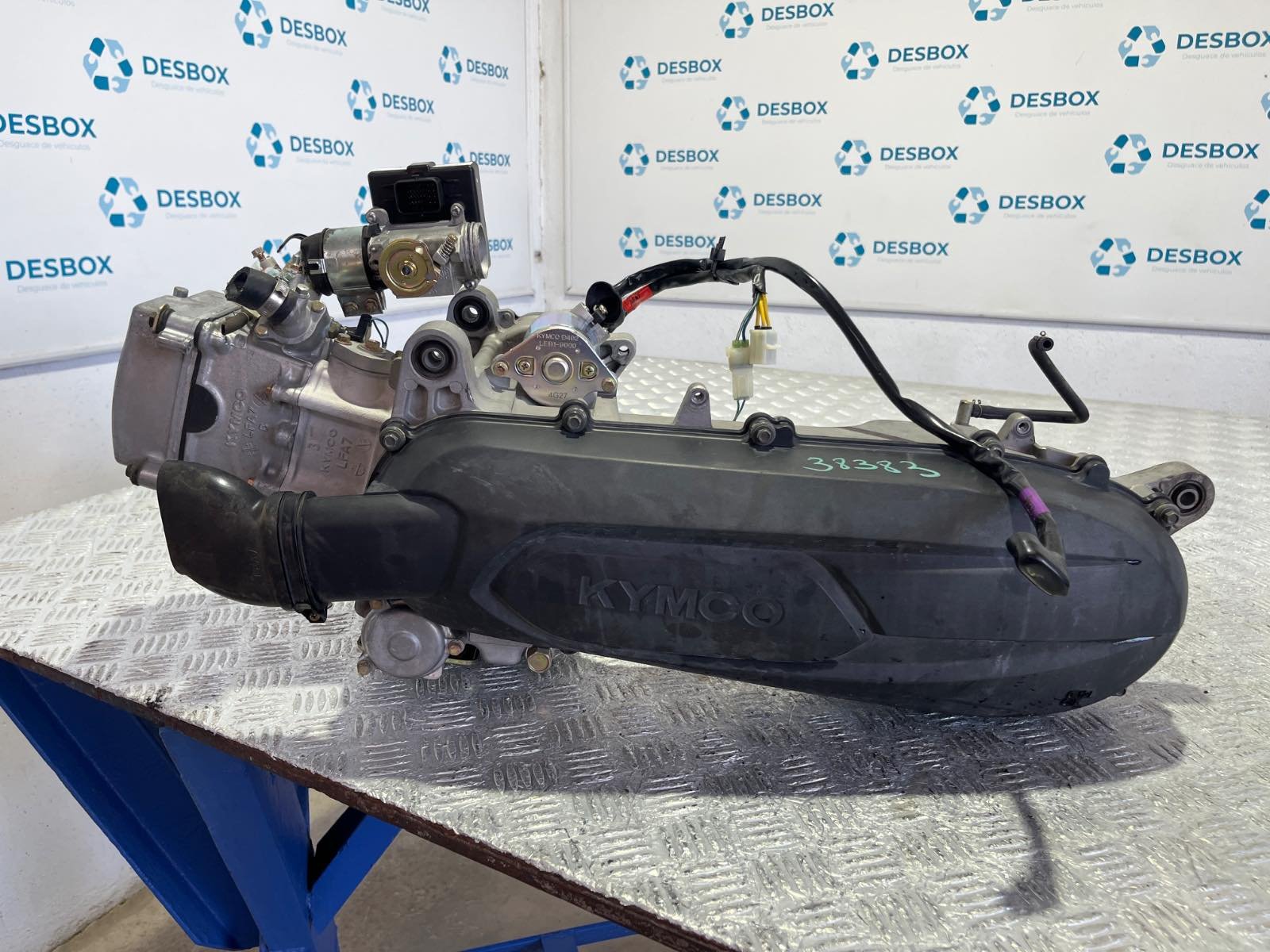 MOTOR