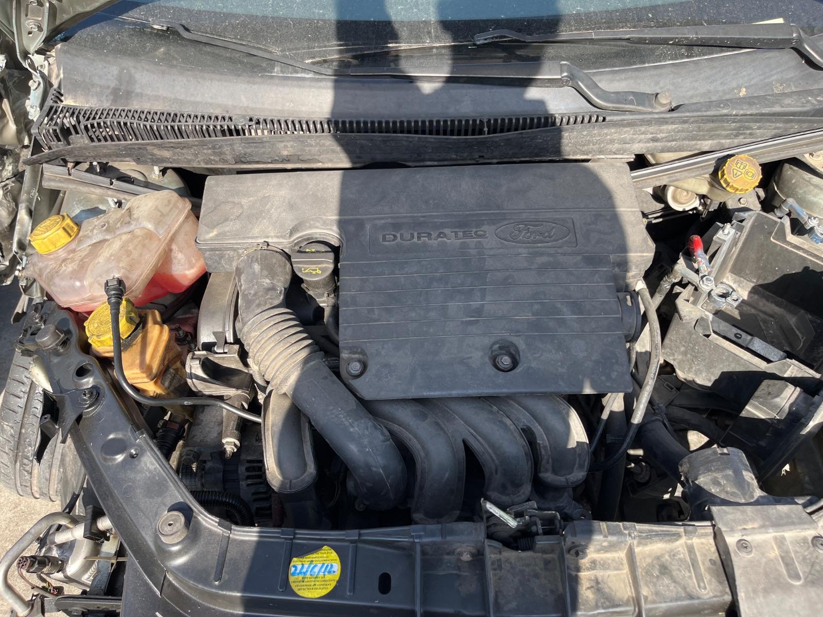 AMORTIGUADORES MALETERO / PORTON FORD FIESTA (CBK) - recambio desguace - vista 13