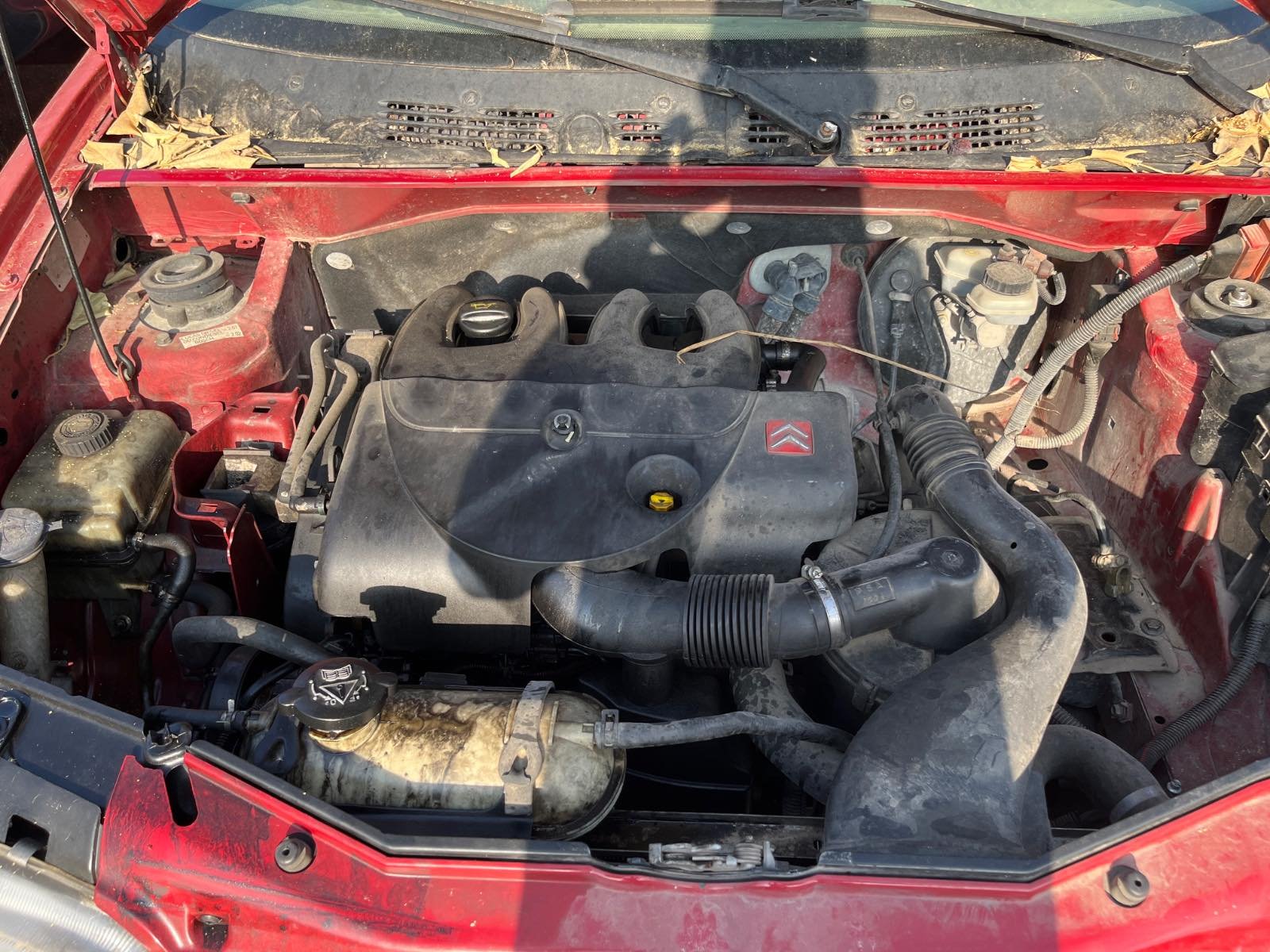CATALIZADOR CITROEN BERLINGO - recambio desguace - vista 10